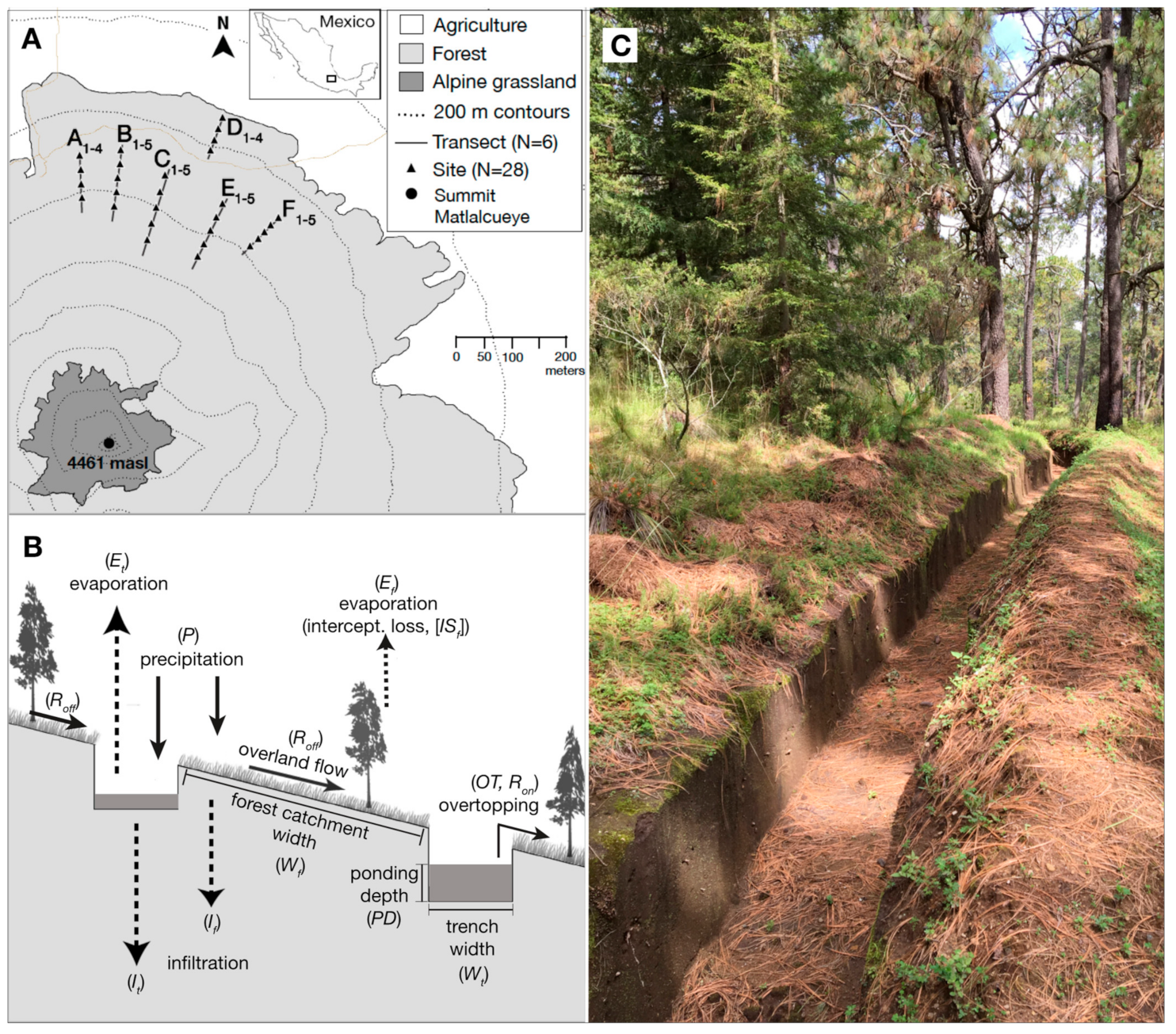 Hydrology | Free Full-Text | Effects of Hillslope Trenching on Surface  Water Infiltration in Subalpine Forested Catchments