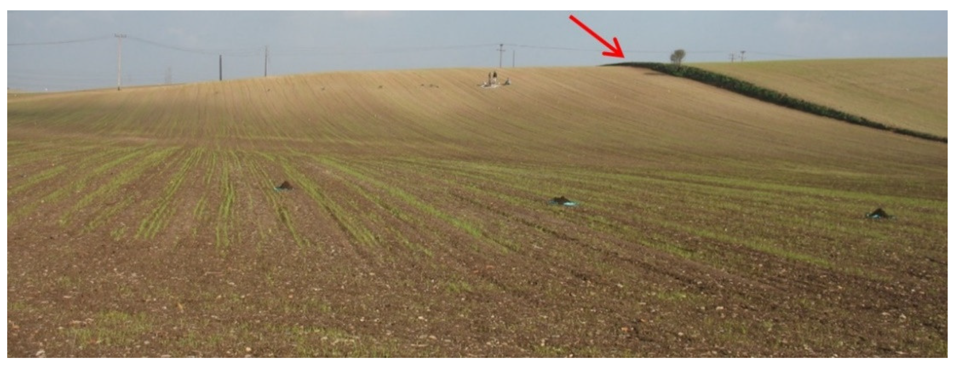 Hydrology 09 00056 g001