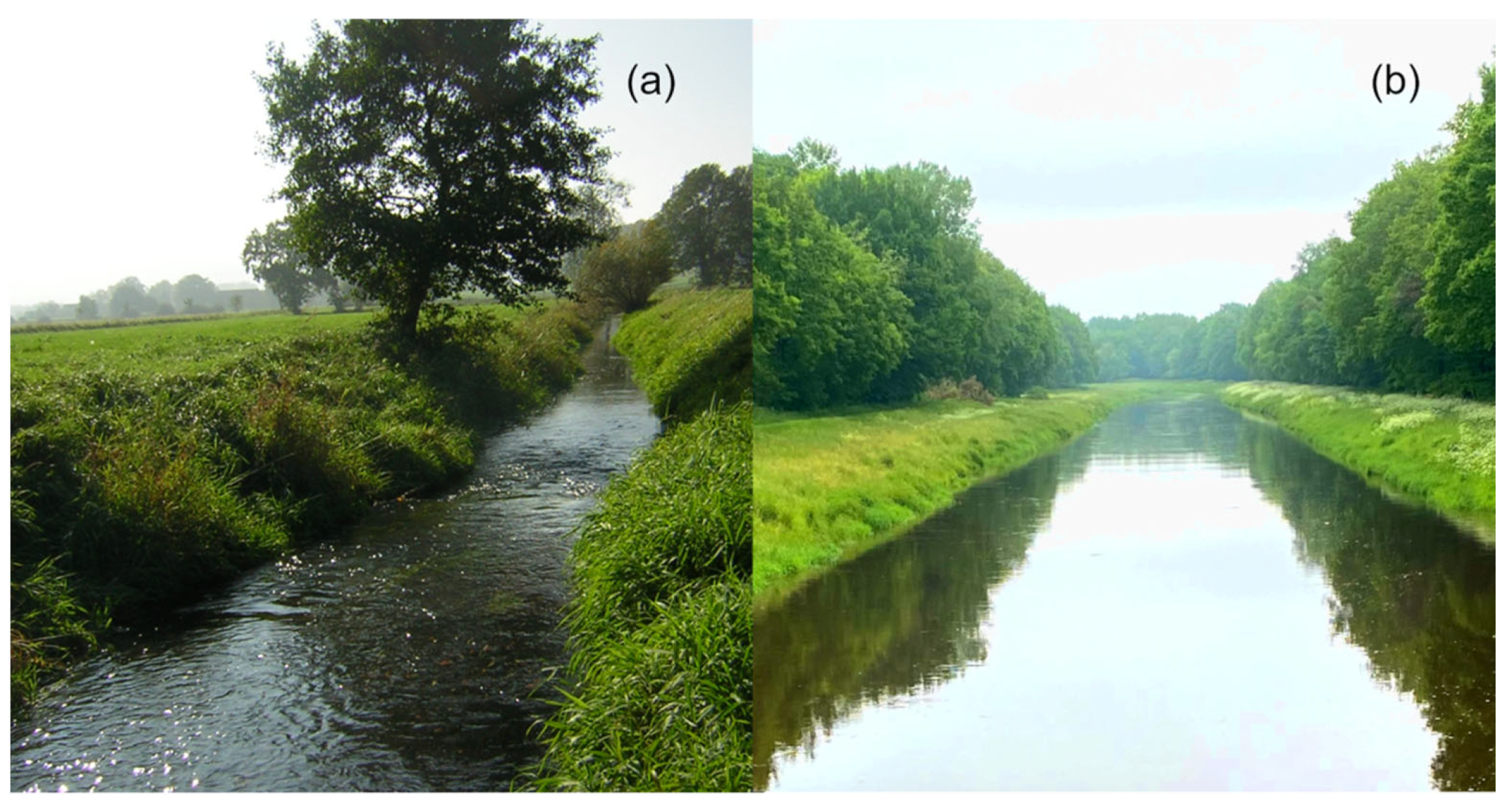 Hydrology 09 00120 g002