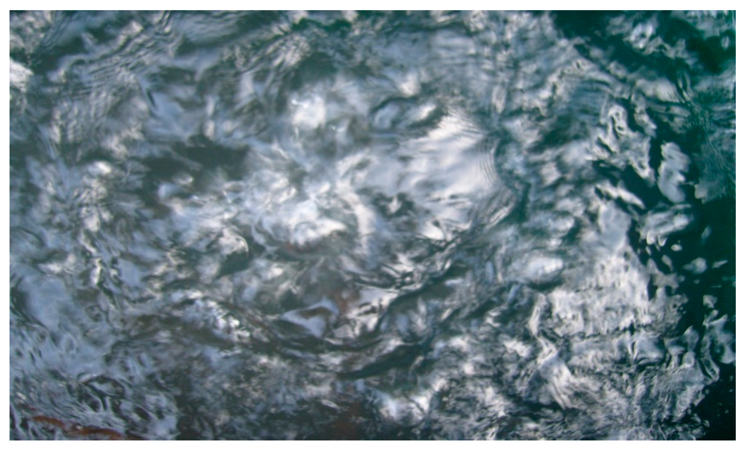 Hydrology 09 00128 g014