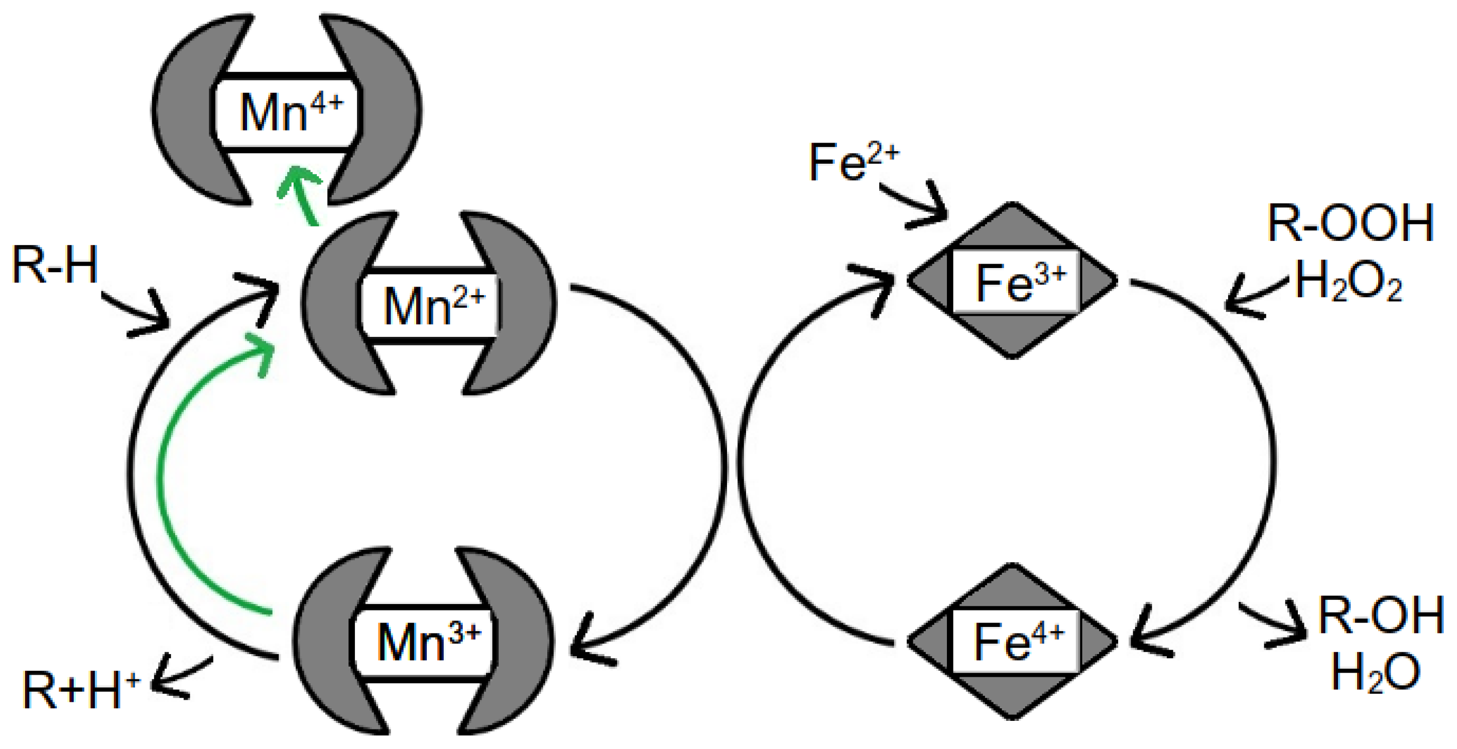 Hydrology 10 00023 g009
