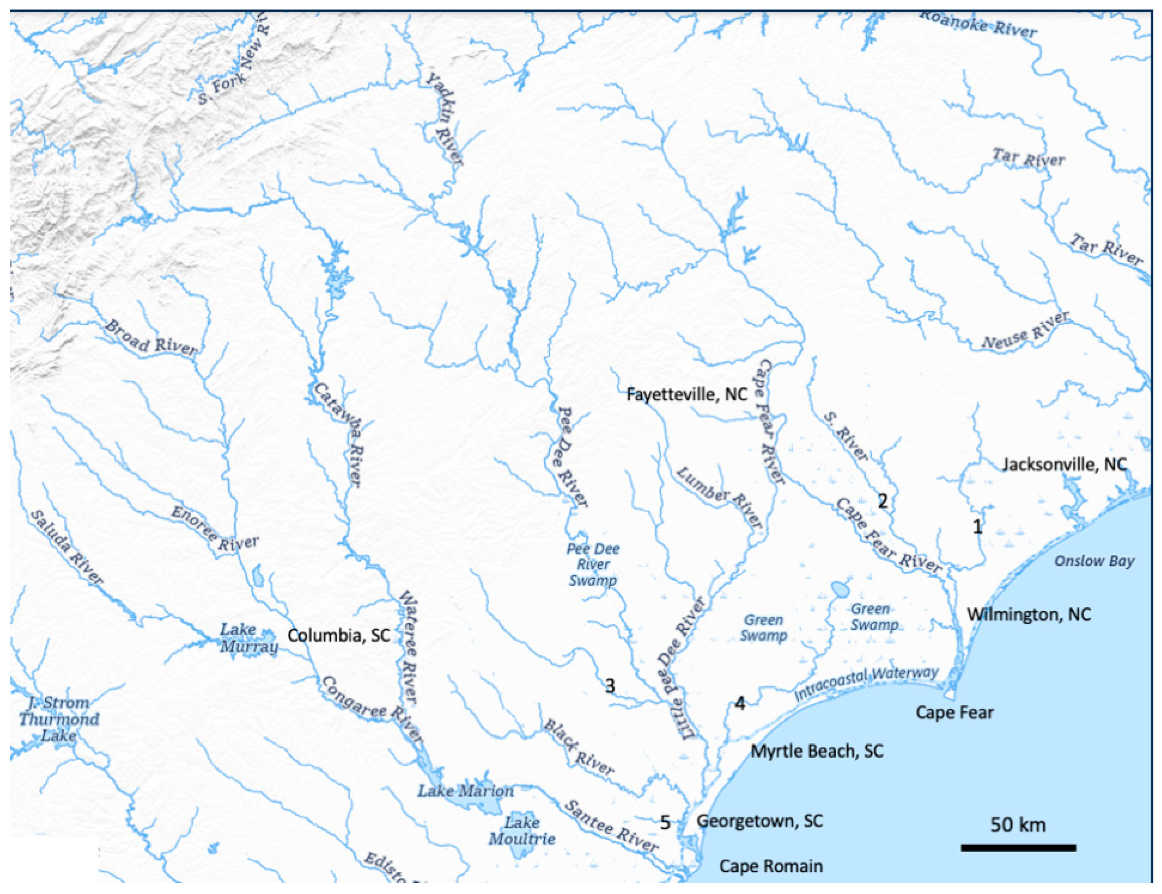 Hydrology 11 00124 g003