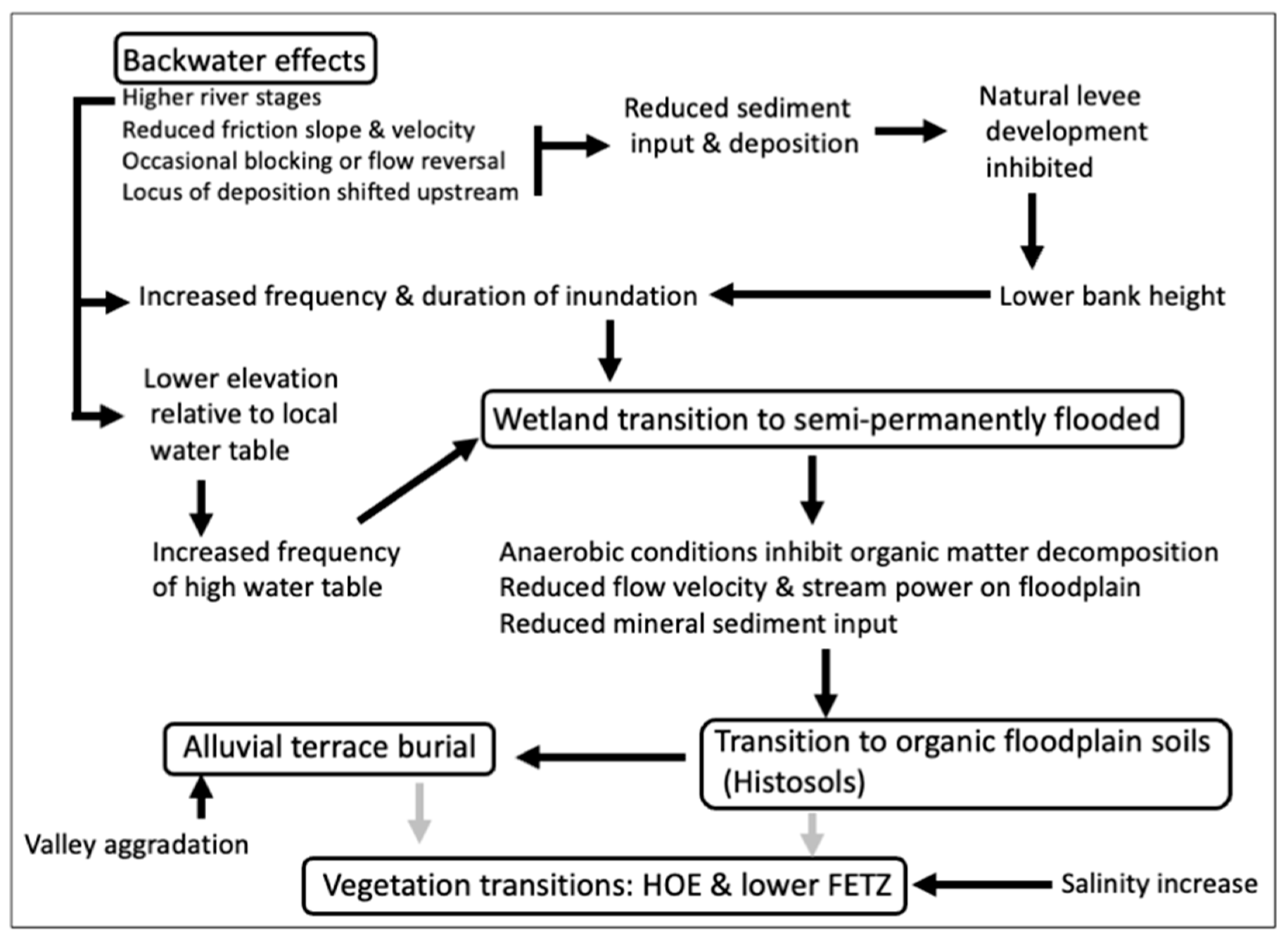 Hydrology 11 00124 g007