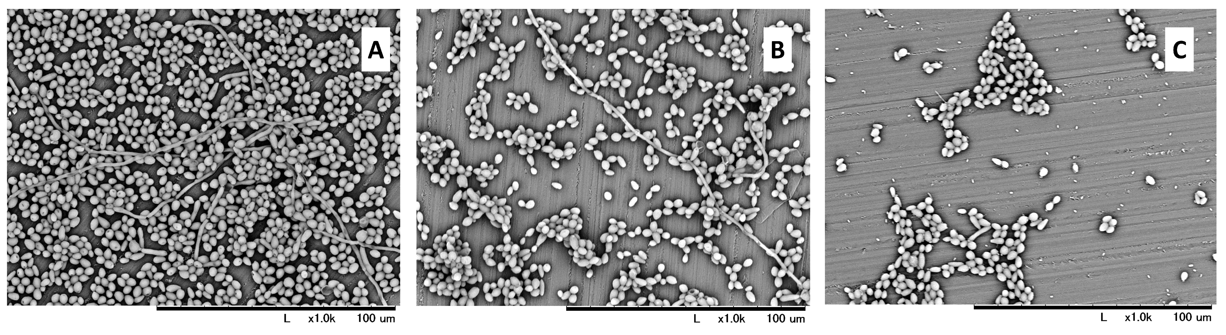 Hygiene 04 00006 g003