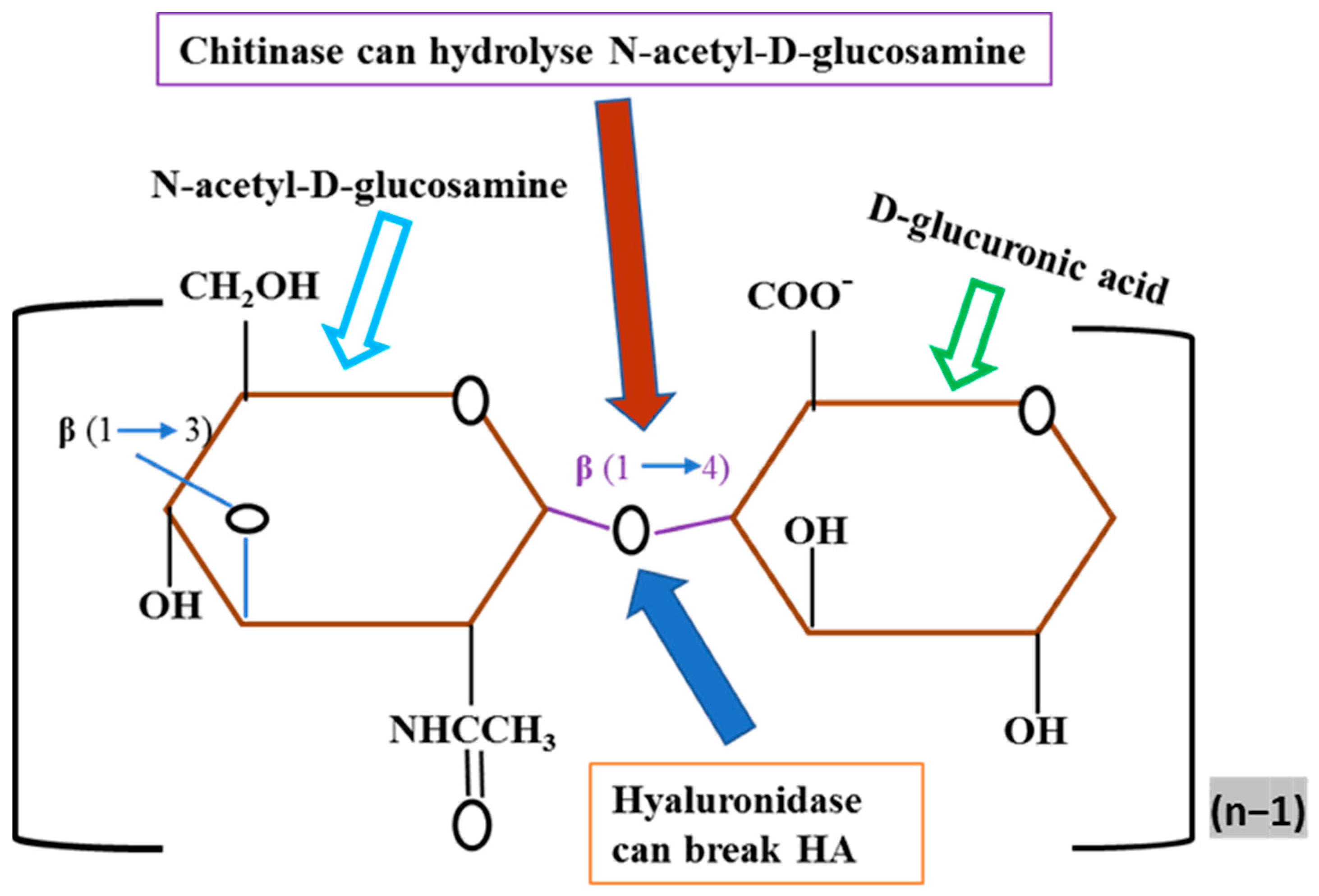 Hygiene 04 00020 g004