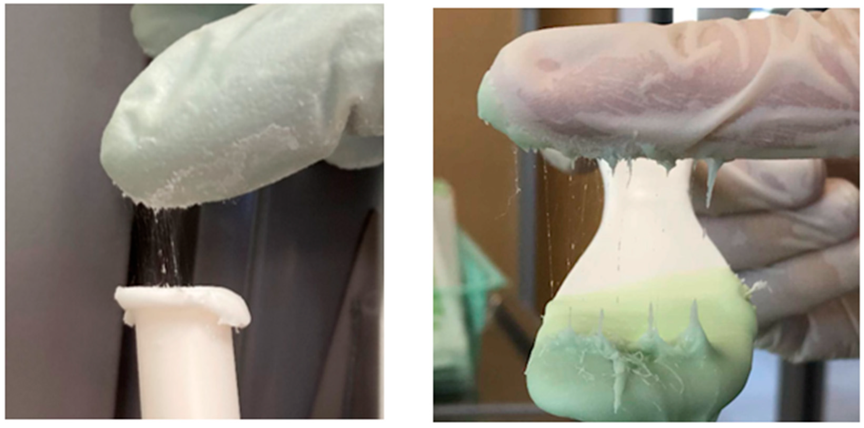 Hygiene 05 00040 g012 Hygiene 05 00040 g012