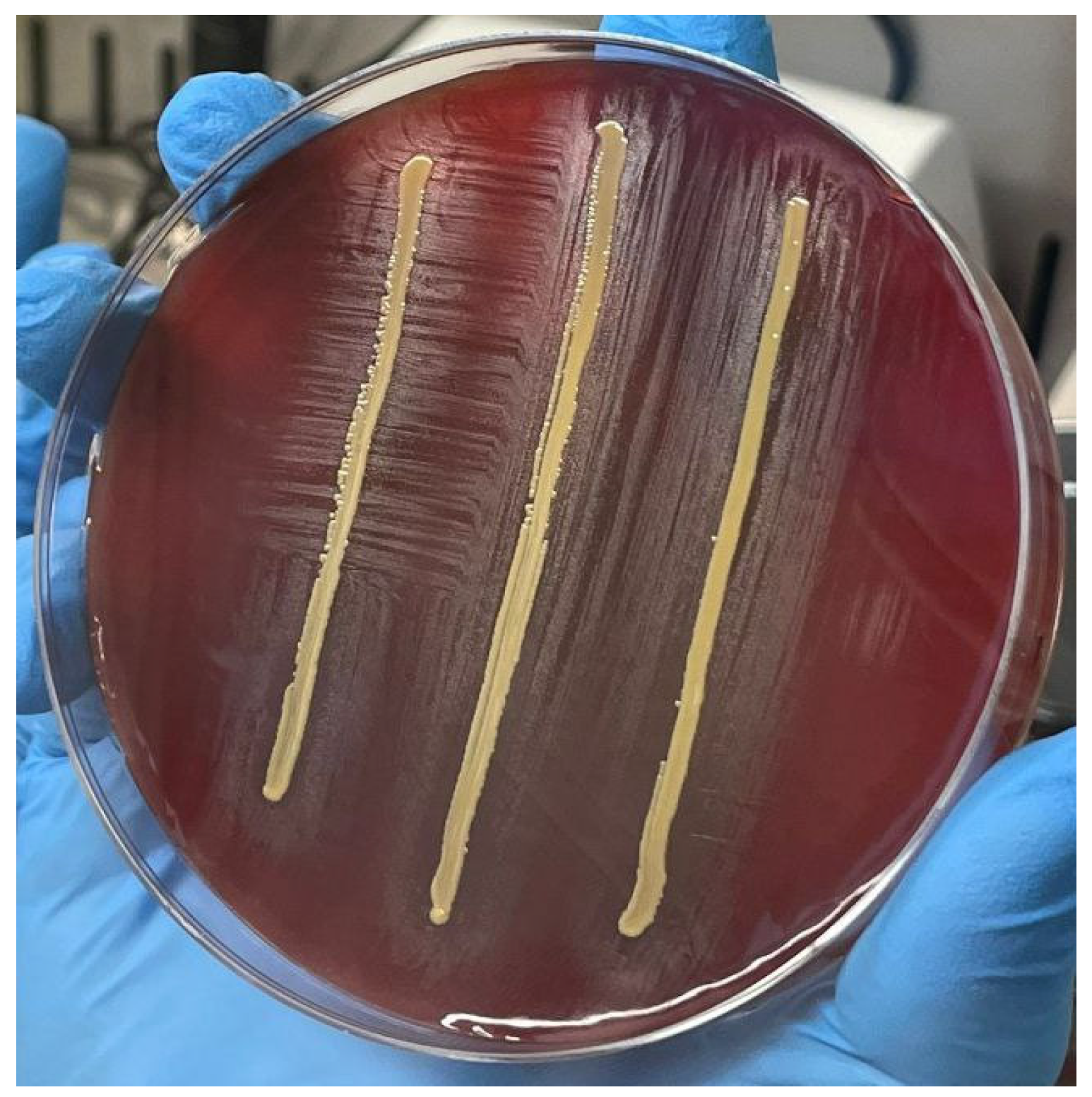 Idr 16 00020 g001 Idr 16 00020 g001