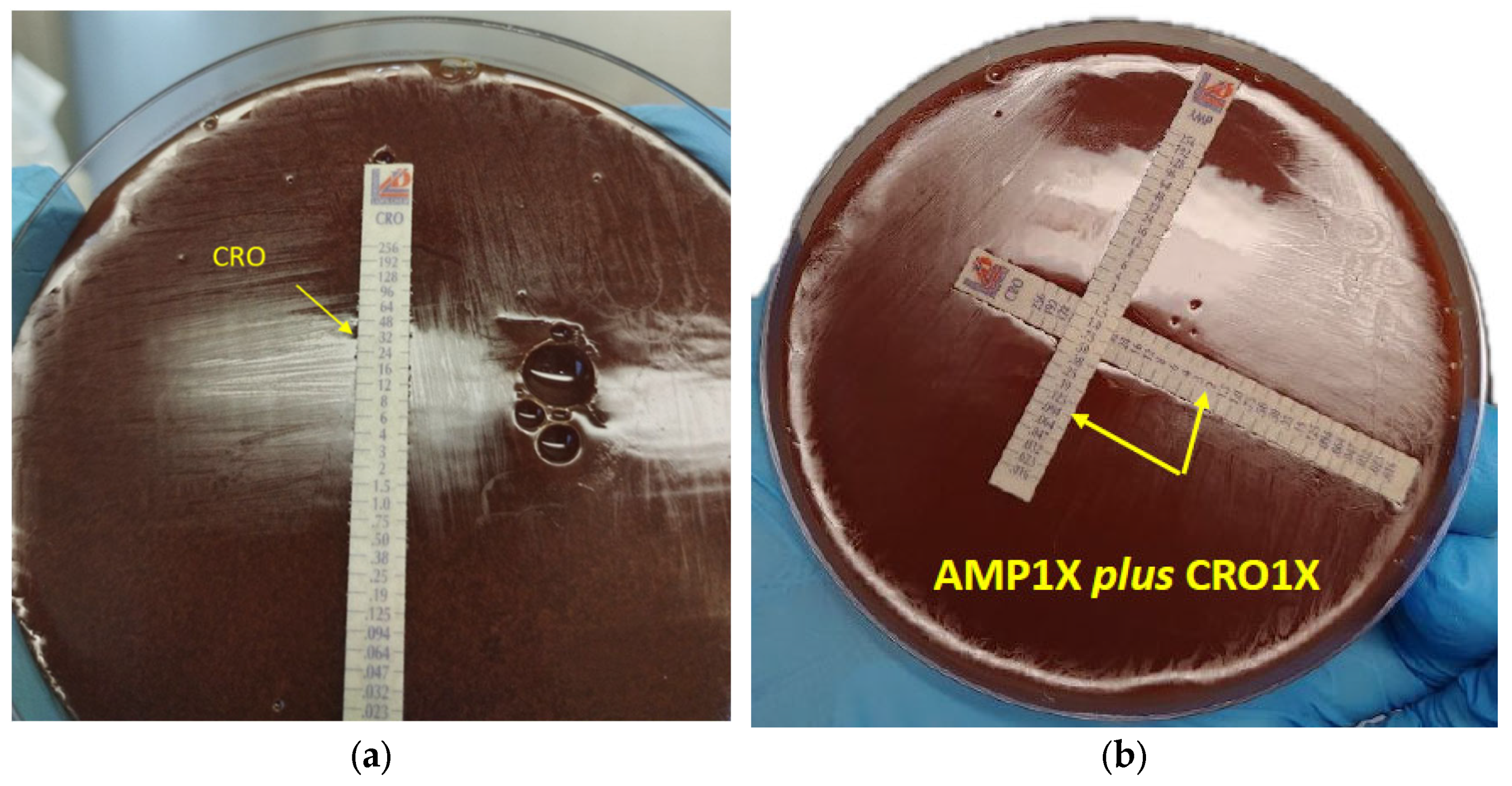 Idr 16 00020 g002 Idr 16 00020 g002