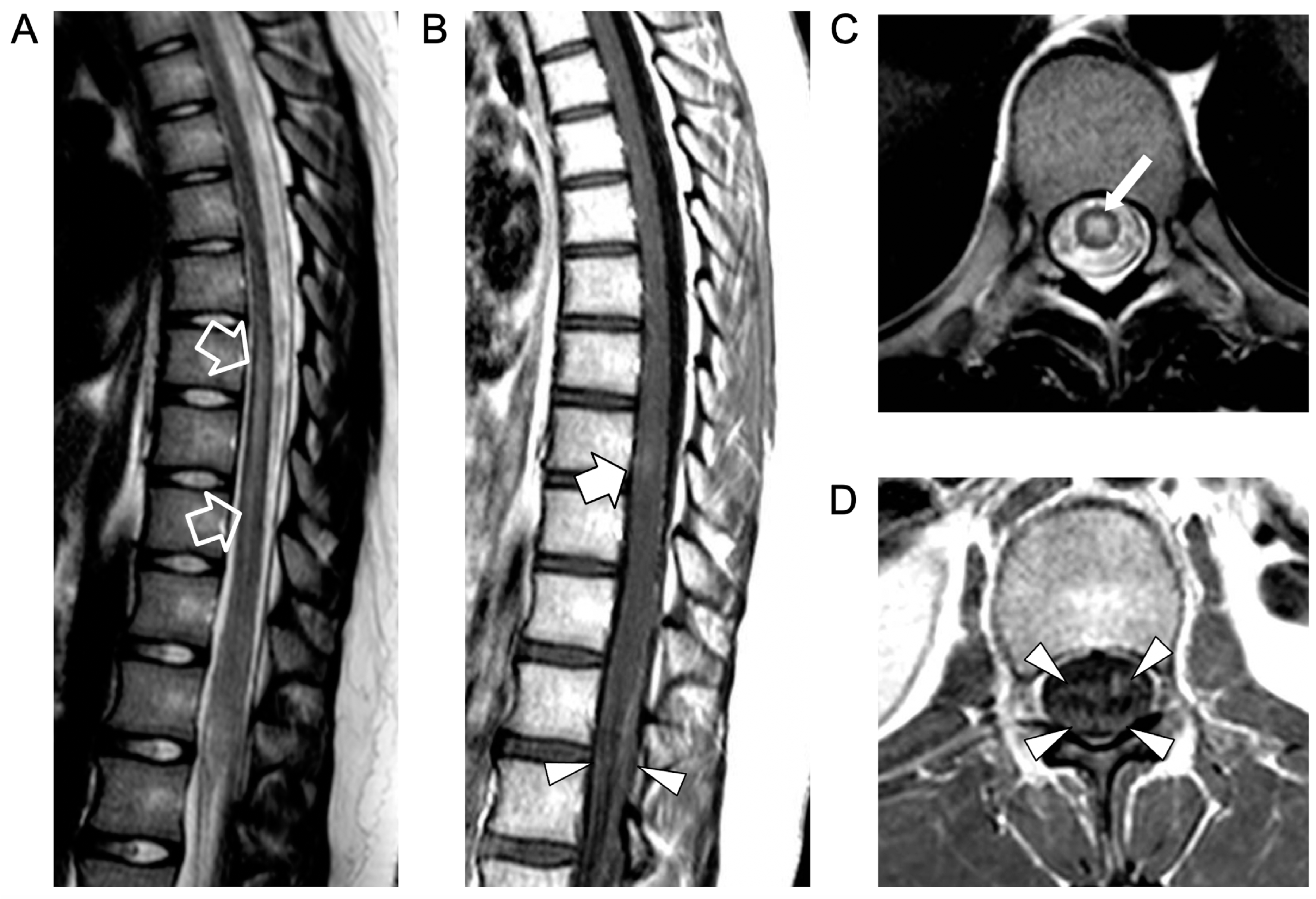 Idr 16 00022 g001 Idr 16 00022 g001
