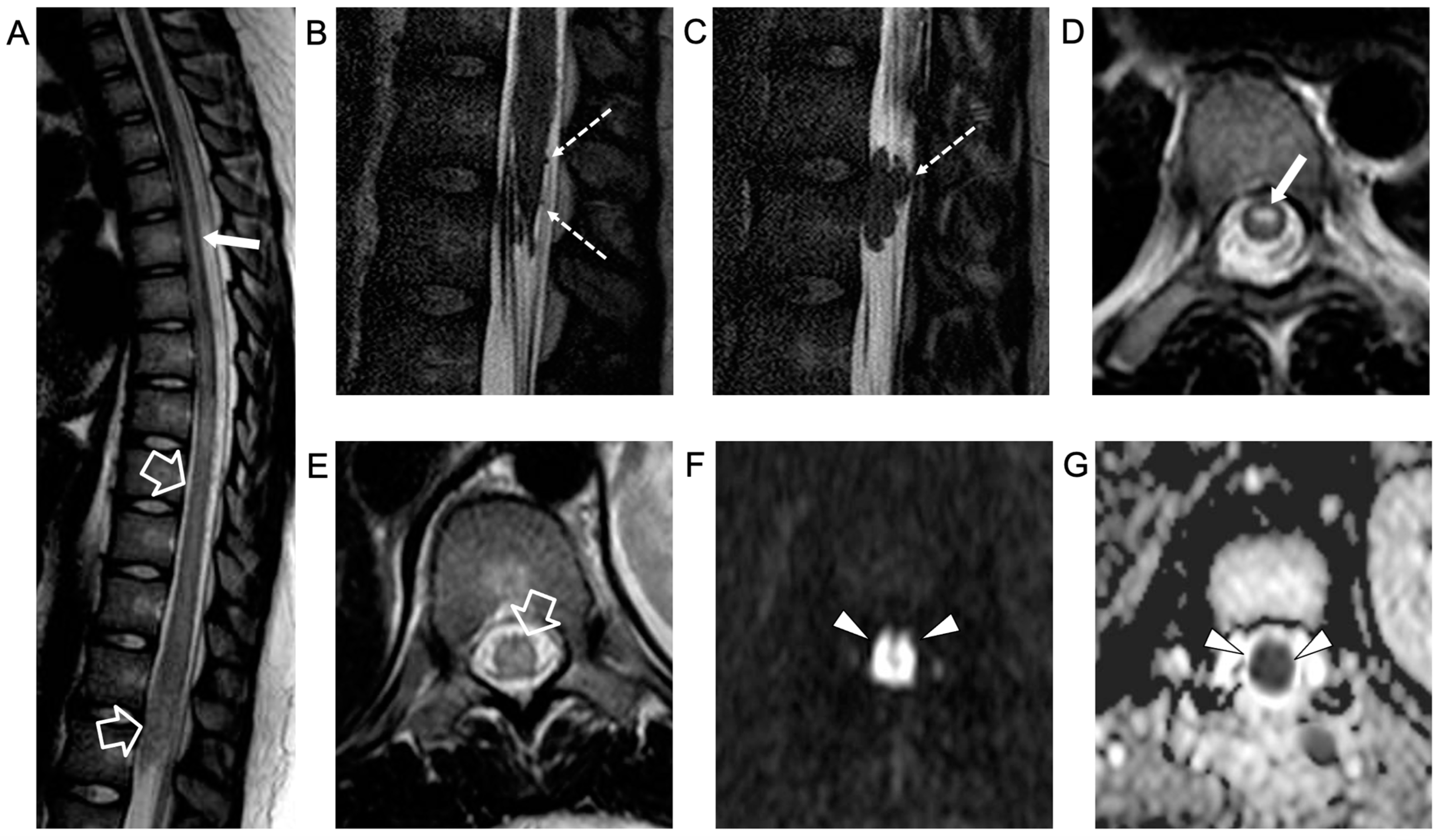Idr 16 00022 g002 Idr 16 00022 g002