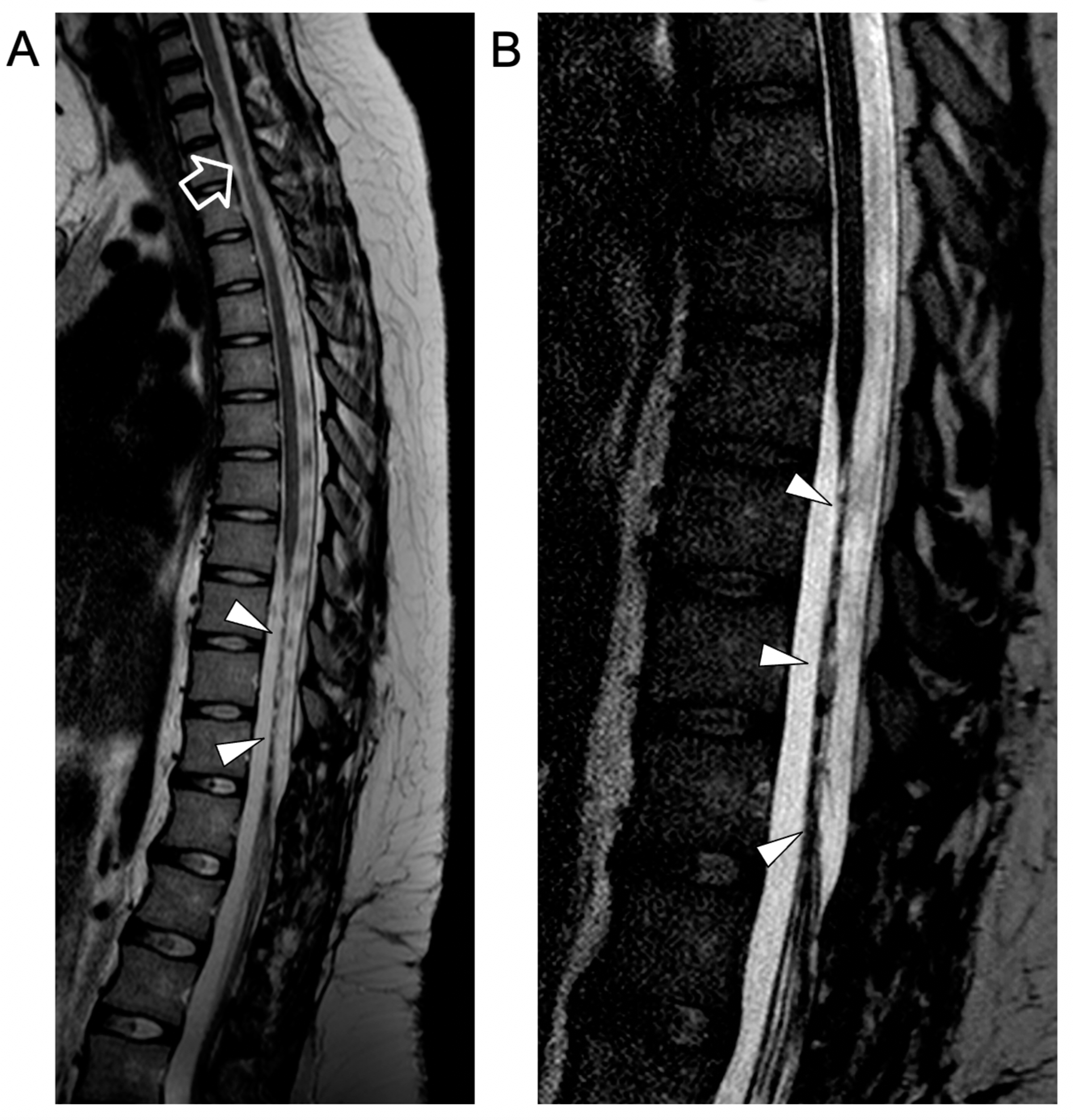Idr 16 00022 g004 Idr 16 00022 g004