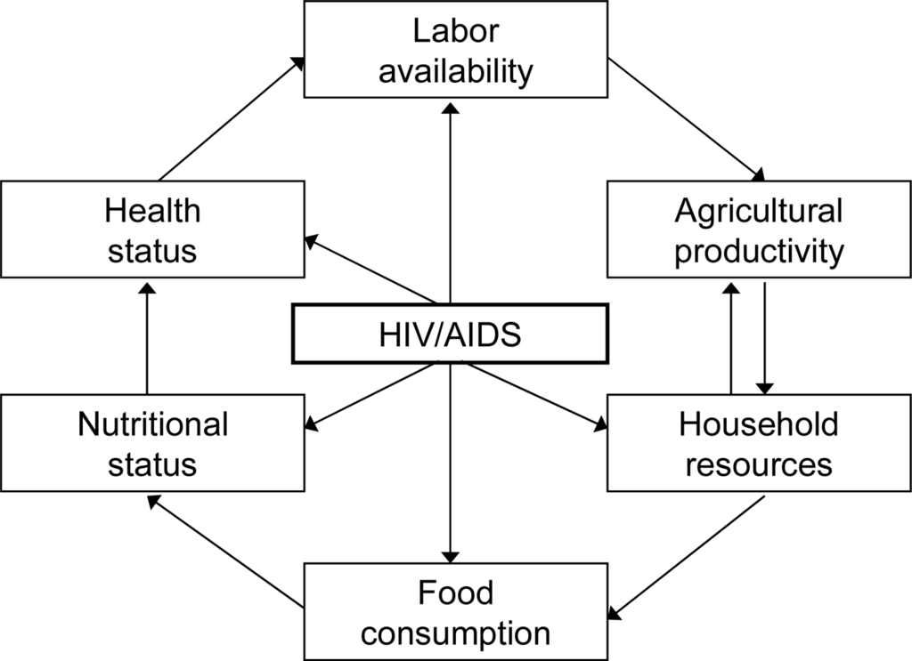 Ijerph Free Full Text A Qualitative Study Of The Impact Of Hiv Aids On Agricultural