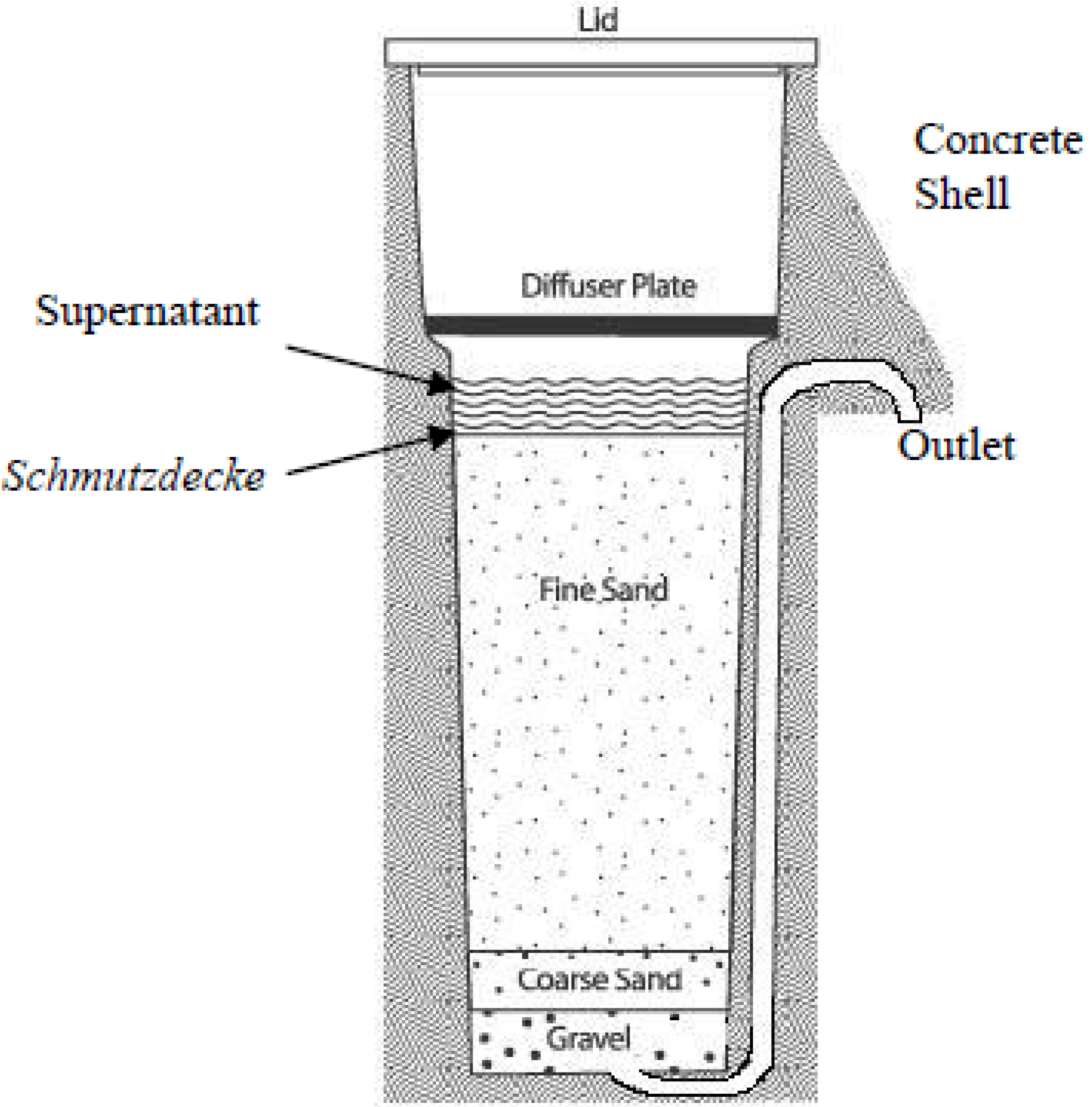 IJERPH | Free Full-Text | Risk Assessment of the Schmutzdecke of Biosand  Filters: Identification of an Opportunistic Pathogen in Schmutzdecke  Developed by an Unsafe Water Source