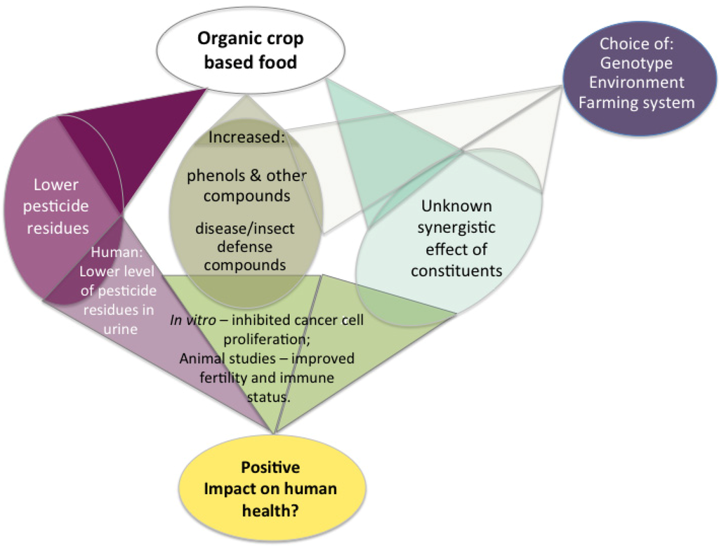 IJERPH | Free Full-Text | Contribution of Organically Grown Crops to Human  Health | HTML