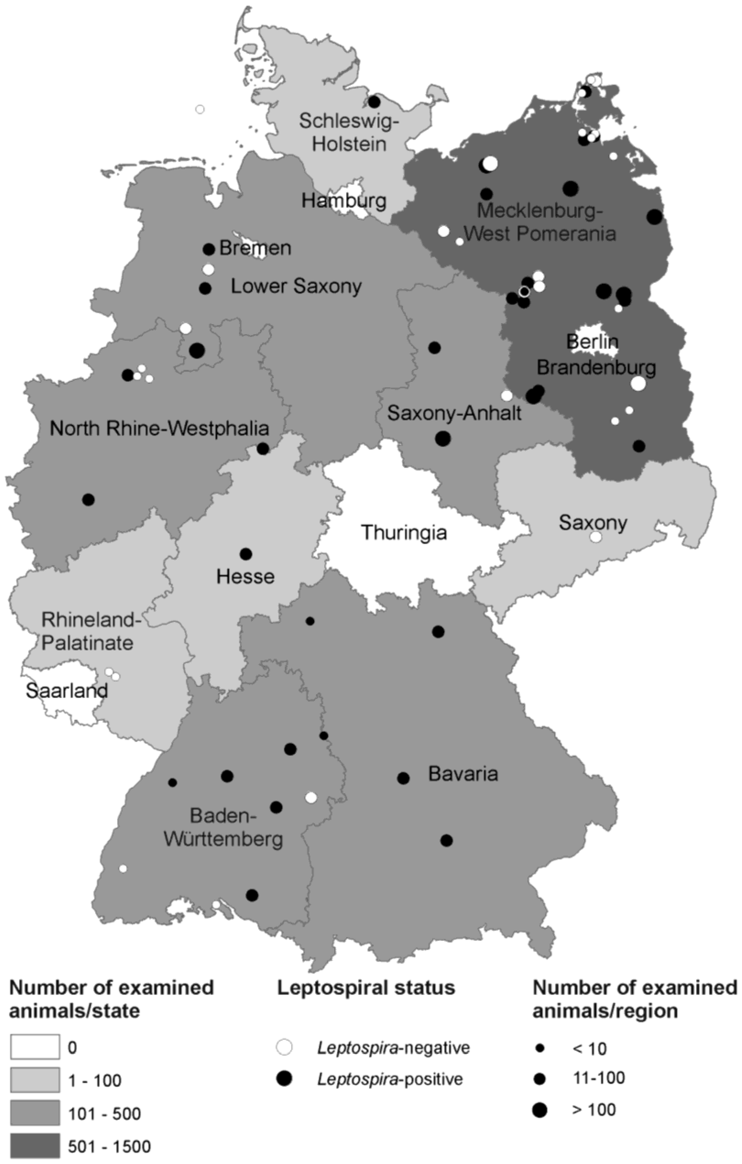 IJERPH | Free Full-Text | Leptospira spp. in Rodents and Shrews in Germany