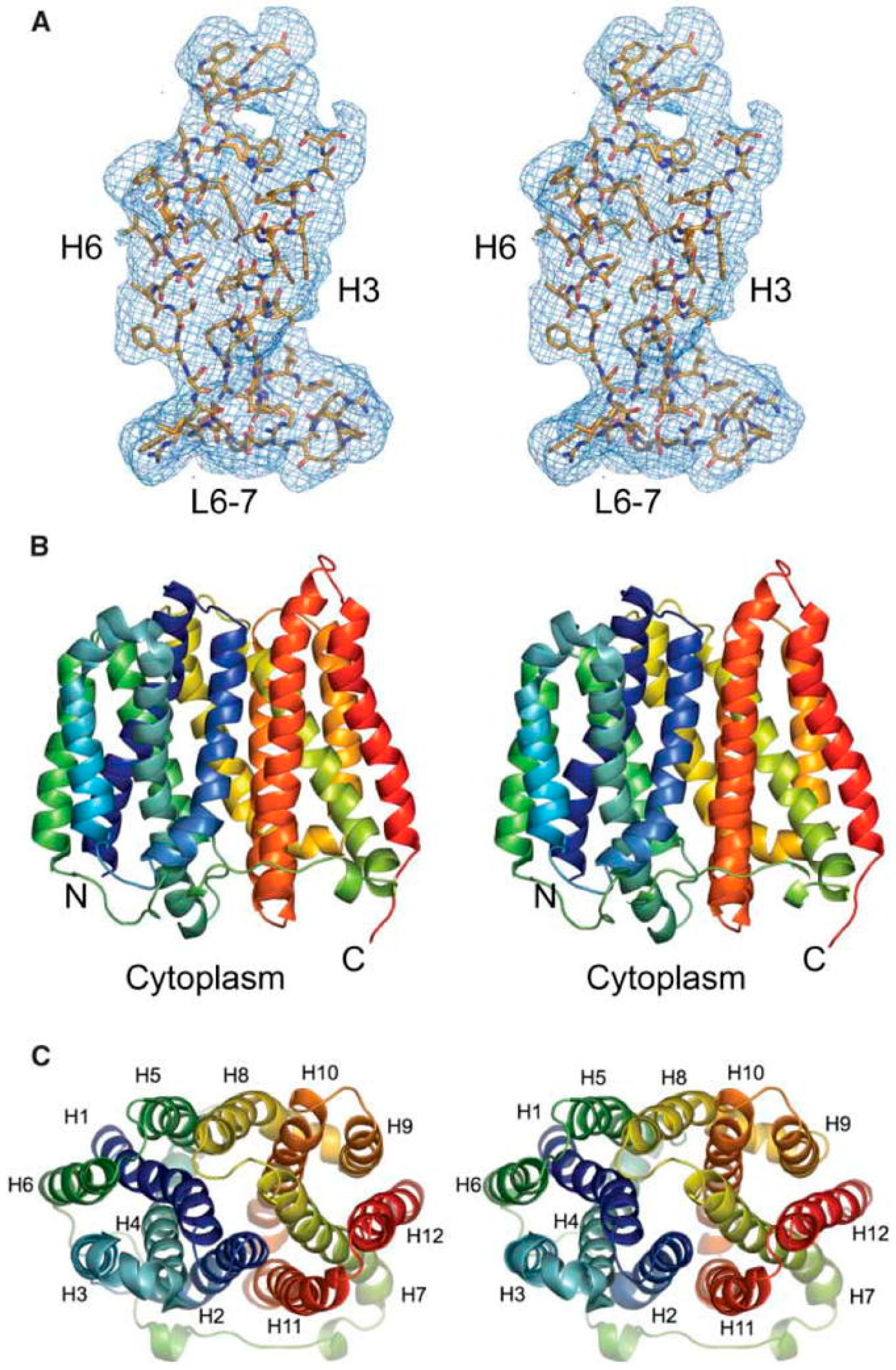 IJERPH Free FullText Multidrug Efflux Pumps from