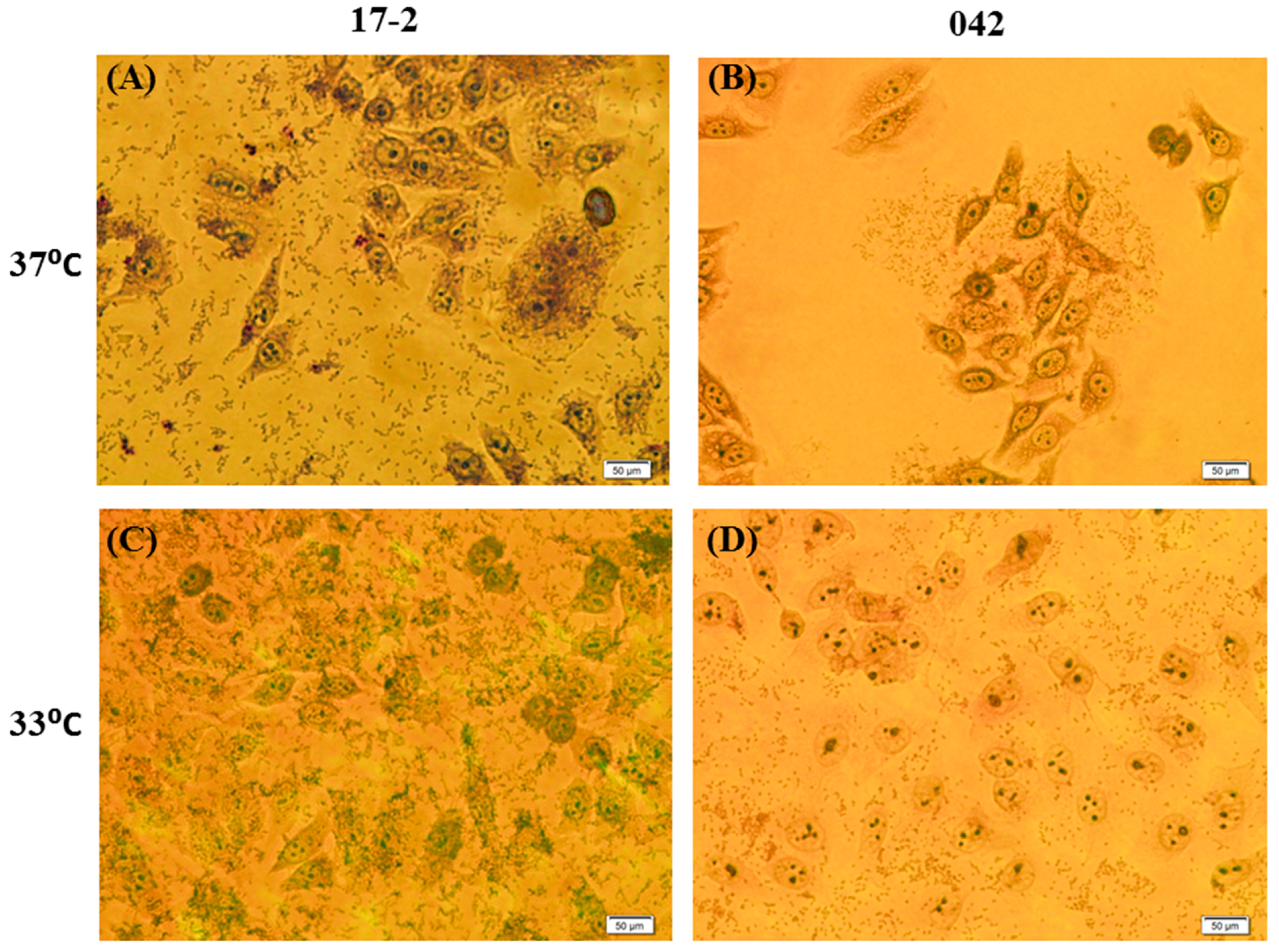 Ijerph 12 08631 g003