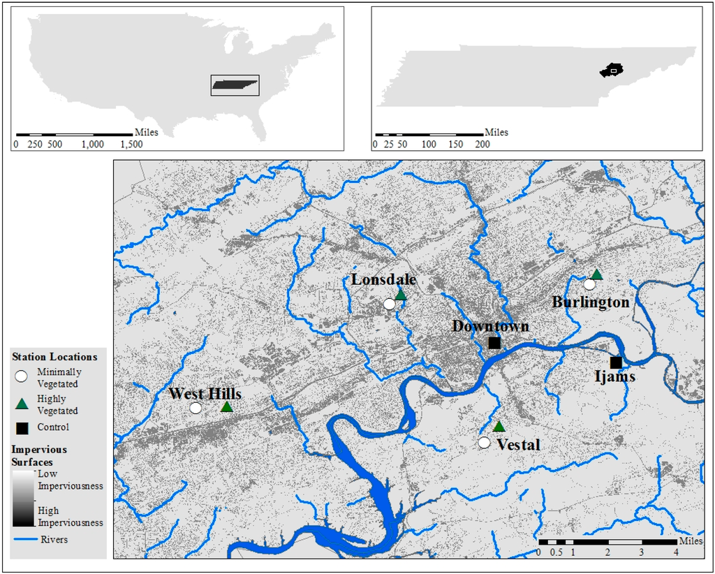 IJERPH | Free Full-Text | Heat and Humidity in the City: Neighborhood