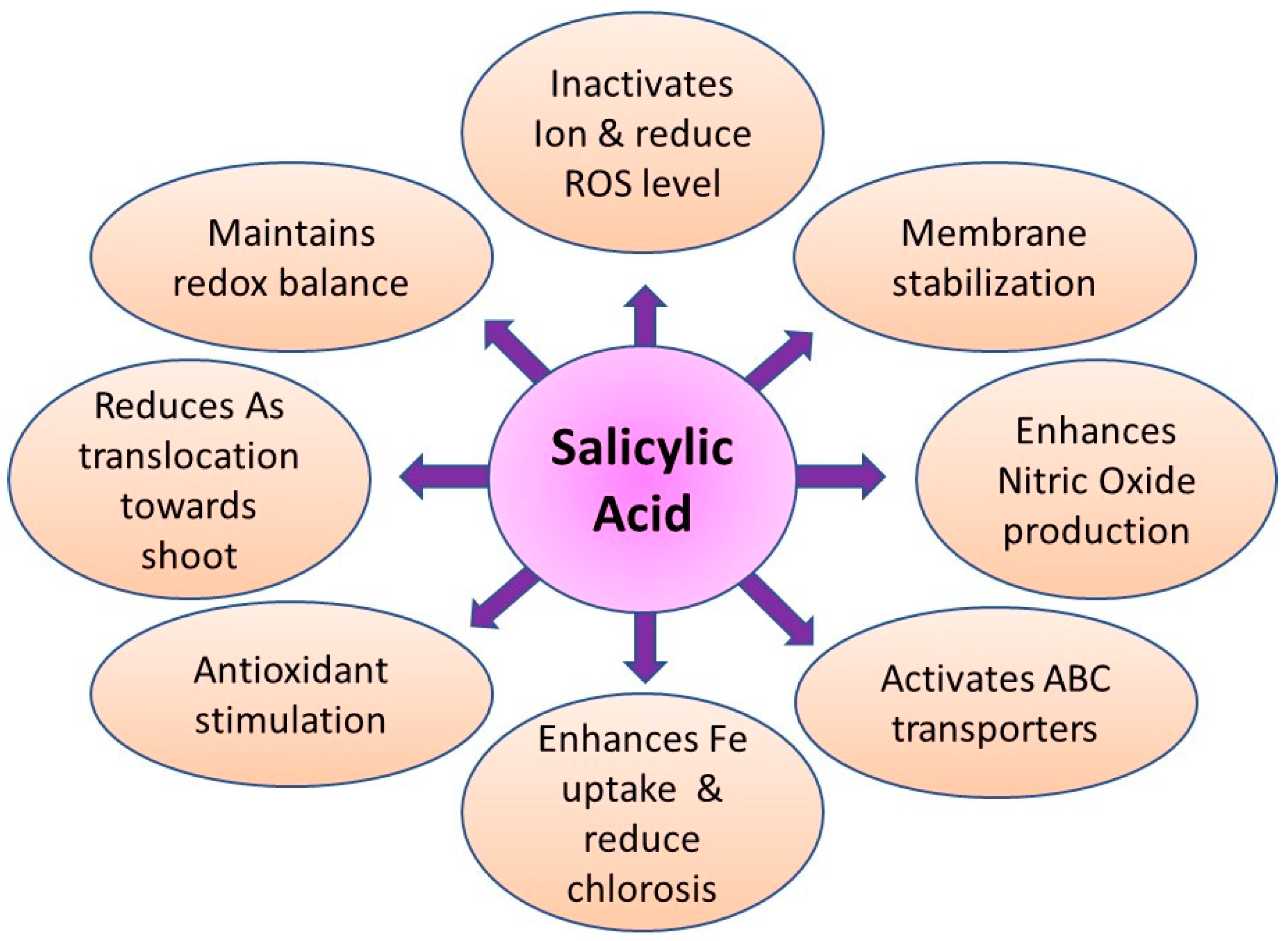 Salicylic acid in plants Idea