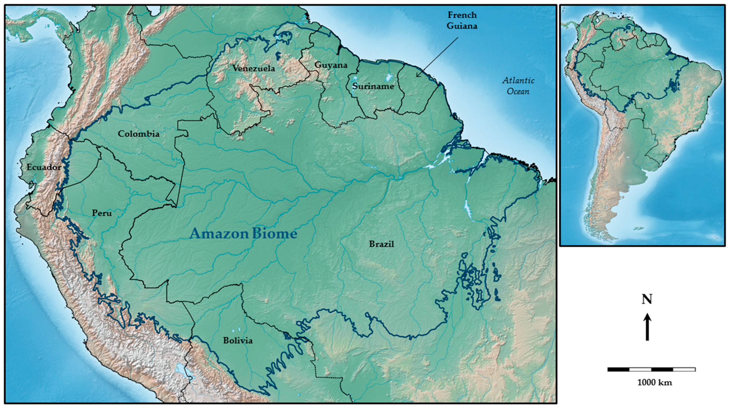 IJERPH | Free Full-Text | Wetlands and Malaria in the Amazon: Guidelines  for the Use of Synthetic Aperture Radar Remote-Sensing