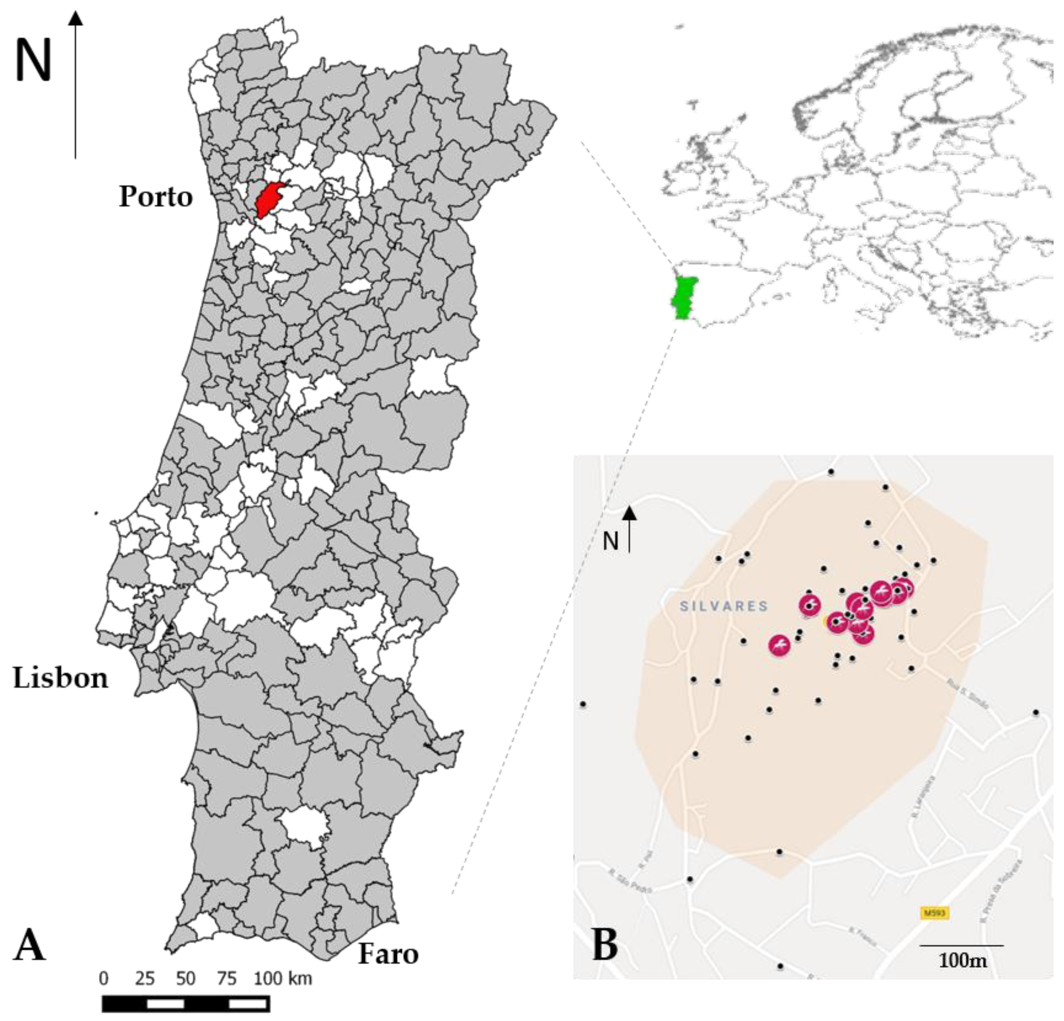 IJERPH | Free Full-Text | Detection of the Invasive Mosquito Species Aedes  (Stegomyia) albopictus (Diptera: Culicidae) in Portugal