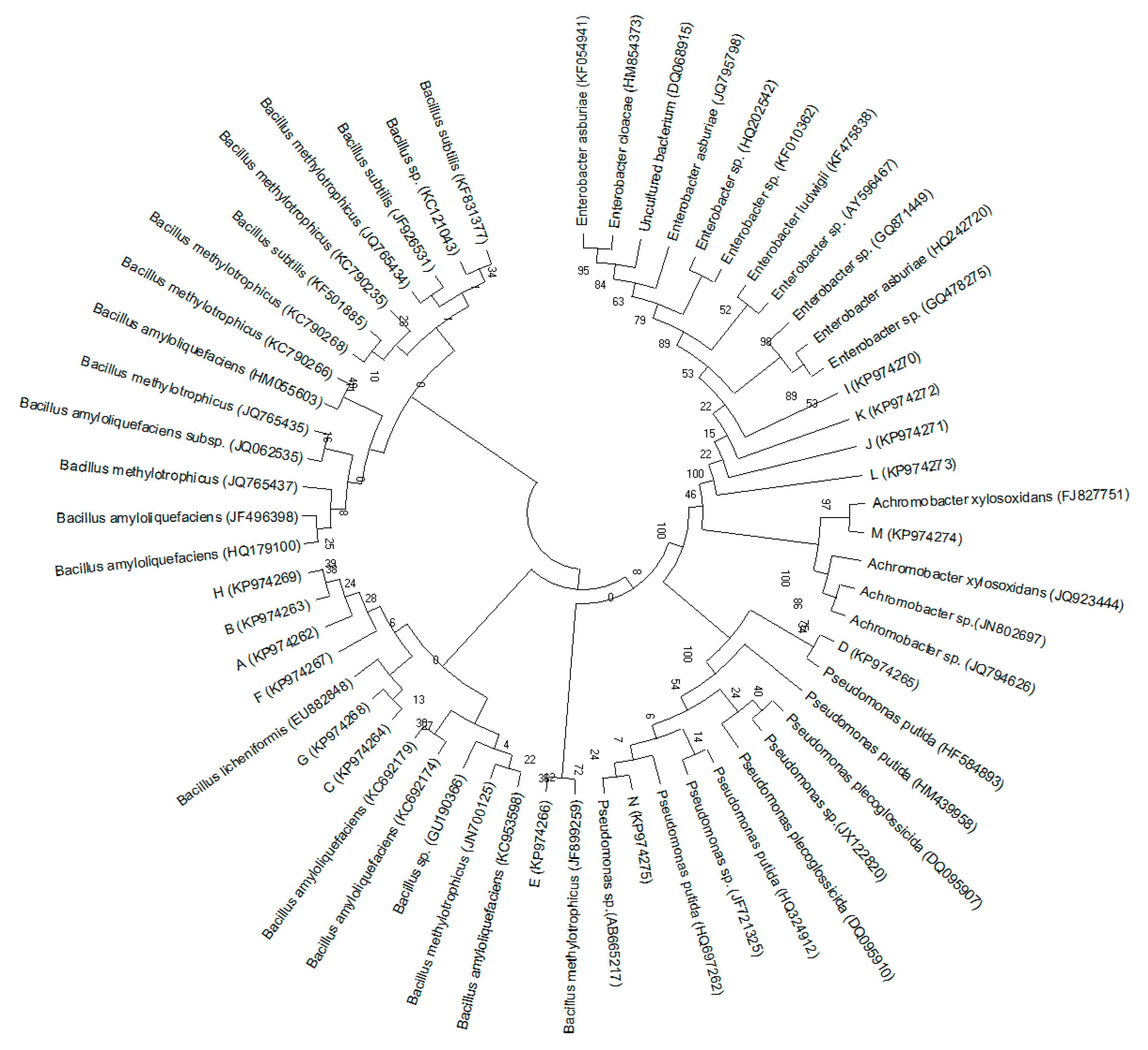 Ijerph 16 00700 g003