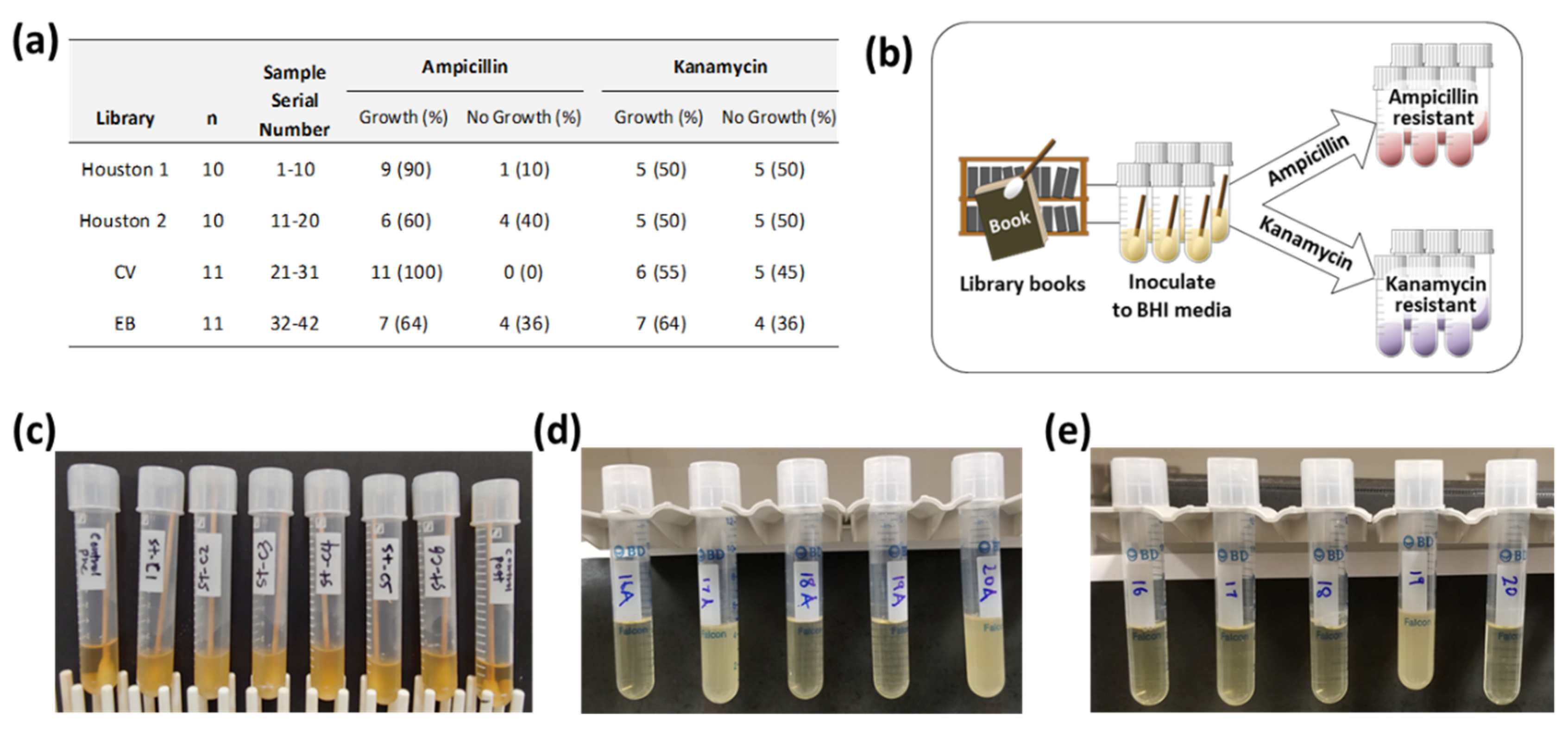 Ijerph 16 00912 g001