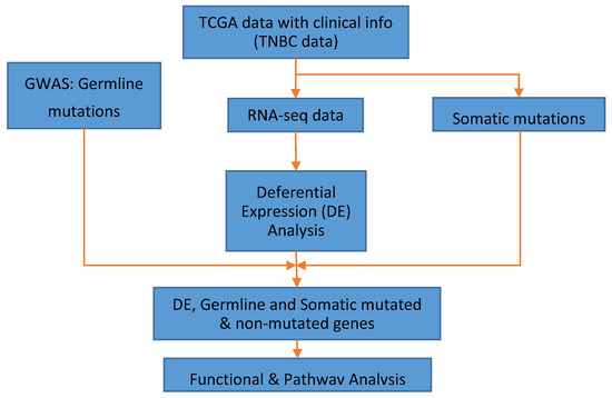 IJERPH | Free Full-Text | Integrating Germline and Somatic Mutation