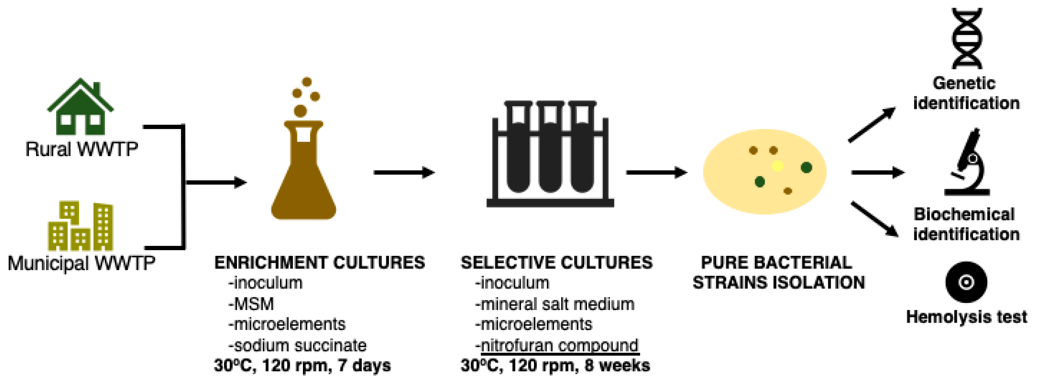 Ijerph 16 01526 g002