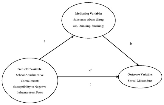 Analysis suggests child bullies have higher risk for substance use later in  life