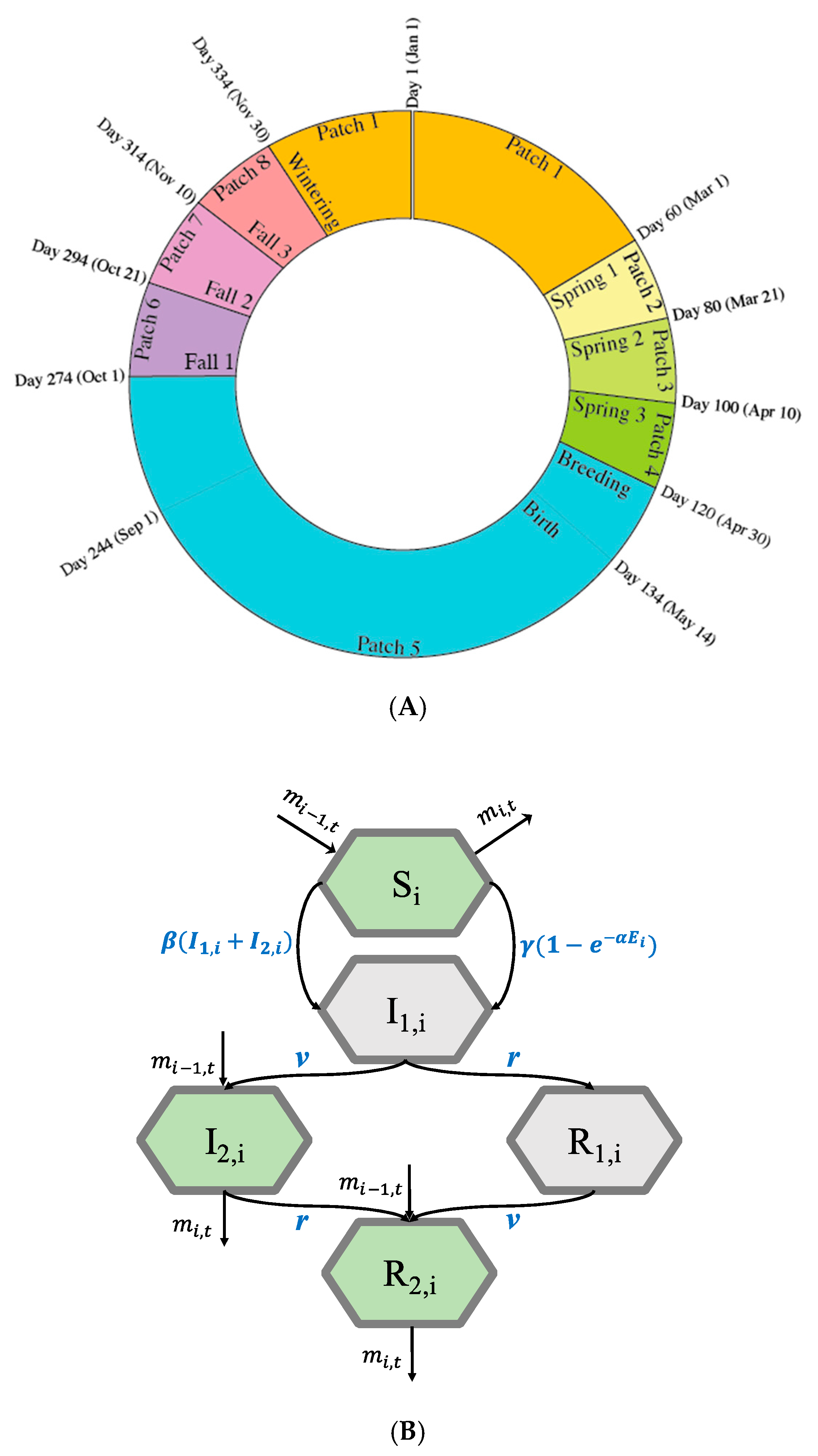 Ijerph Free Full Text The Impact Of Environmental Transmission And Epidemiological Features On The Geographical Translocation Of Highly Pathogenic Avian Influenza Virus Html