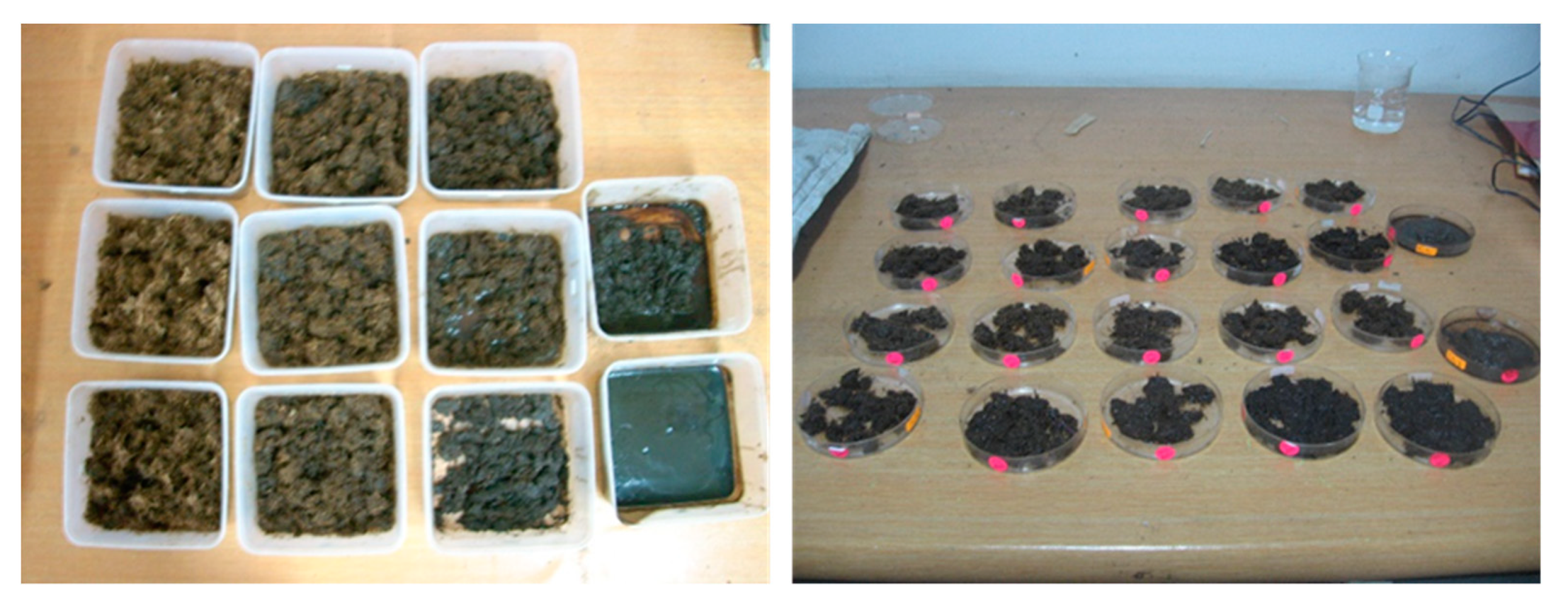 Ijerph 16 02092 g001 Ijerph 16 02092 g001