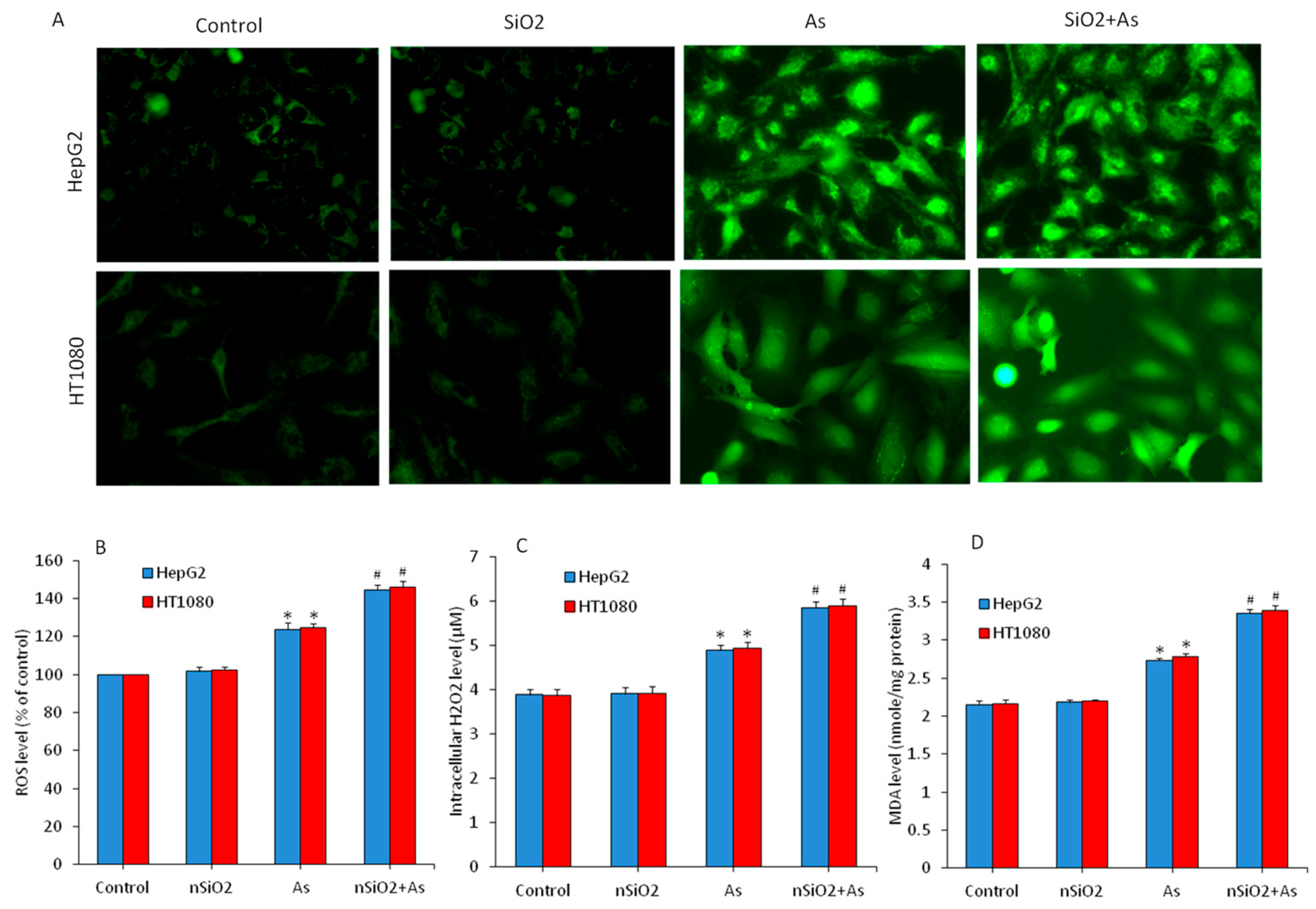 Ijerph 16 03199 g003 Ijerph 16 03199 g003