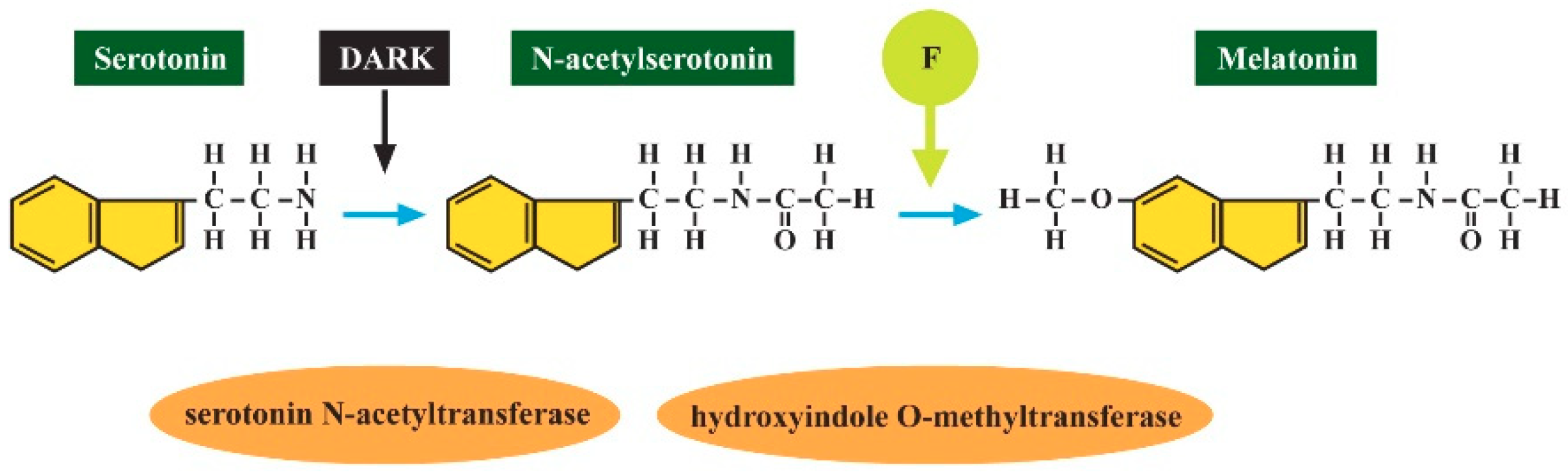 Ijerph 16 03431 g005