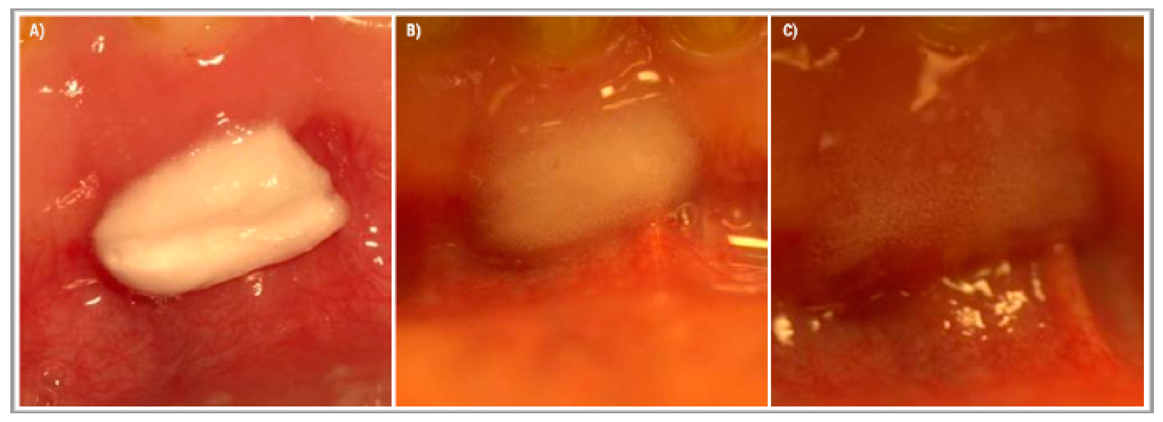 Ijerph 16 03698 g003