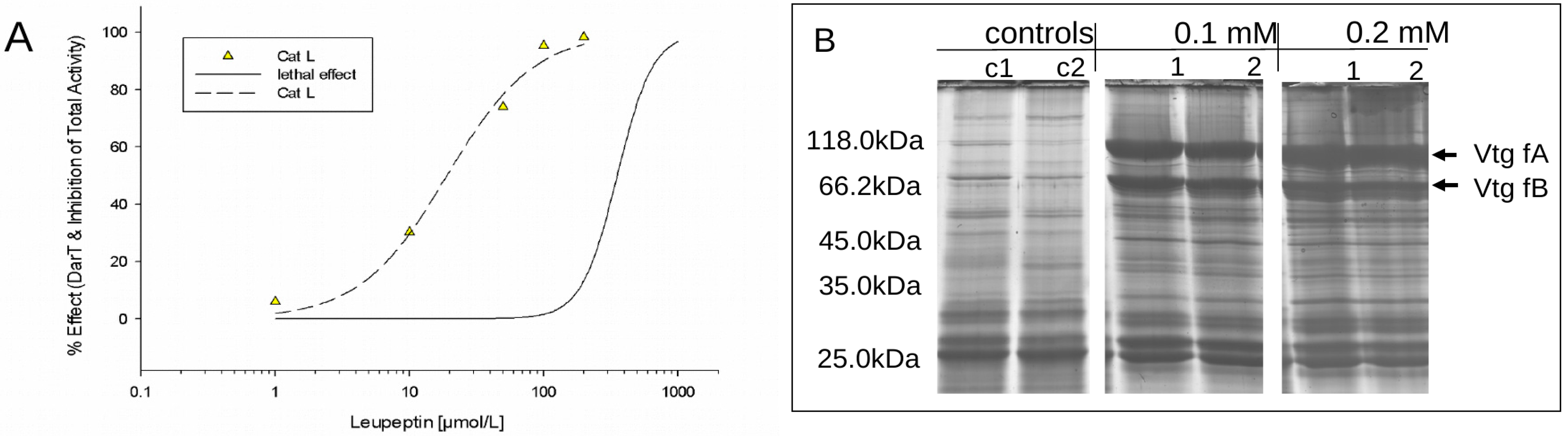 Ijerph 16 03956 g002