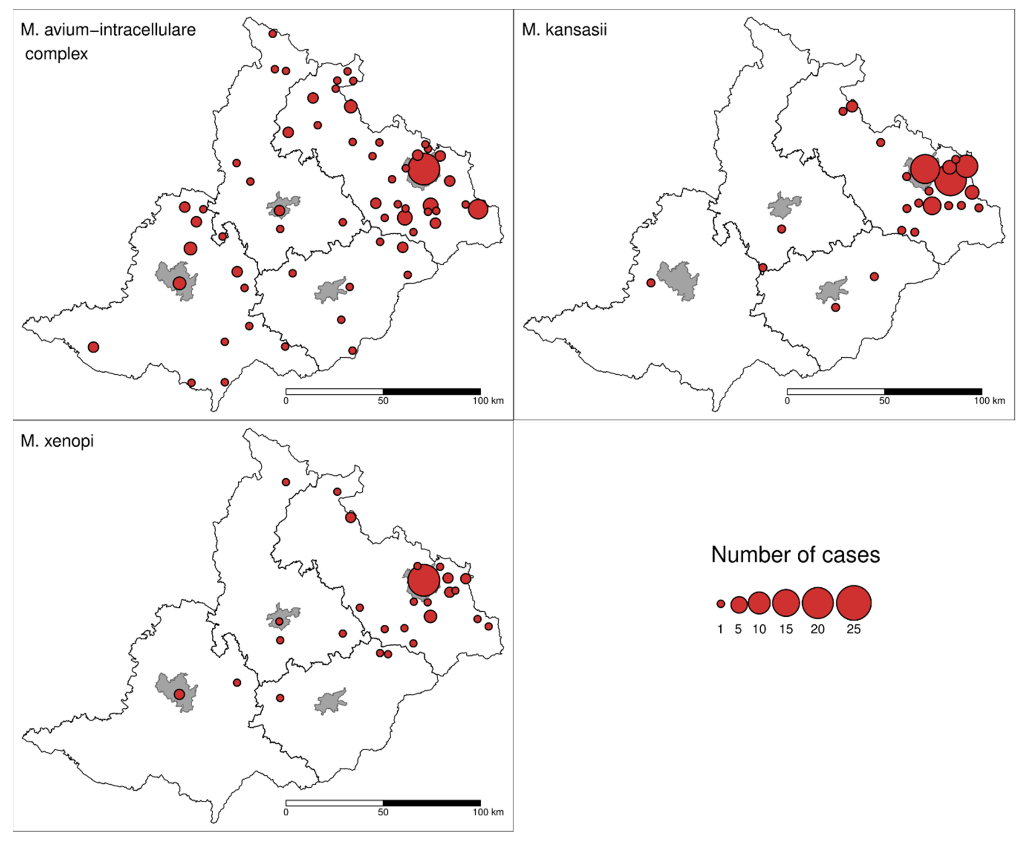 Ijerph 16 03969 g004