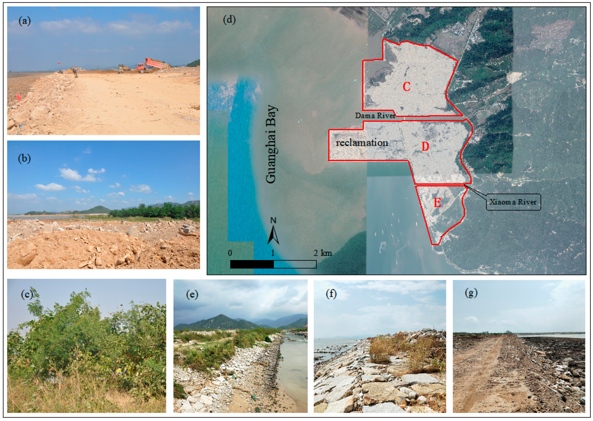 Ijerph Free Full Text Dissipation Theory Based Ecological Protection And Restoration Scheme Construction For Reclamation Projects And Adjacent Marine Ecosystems Html