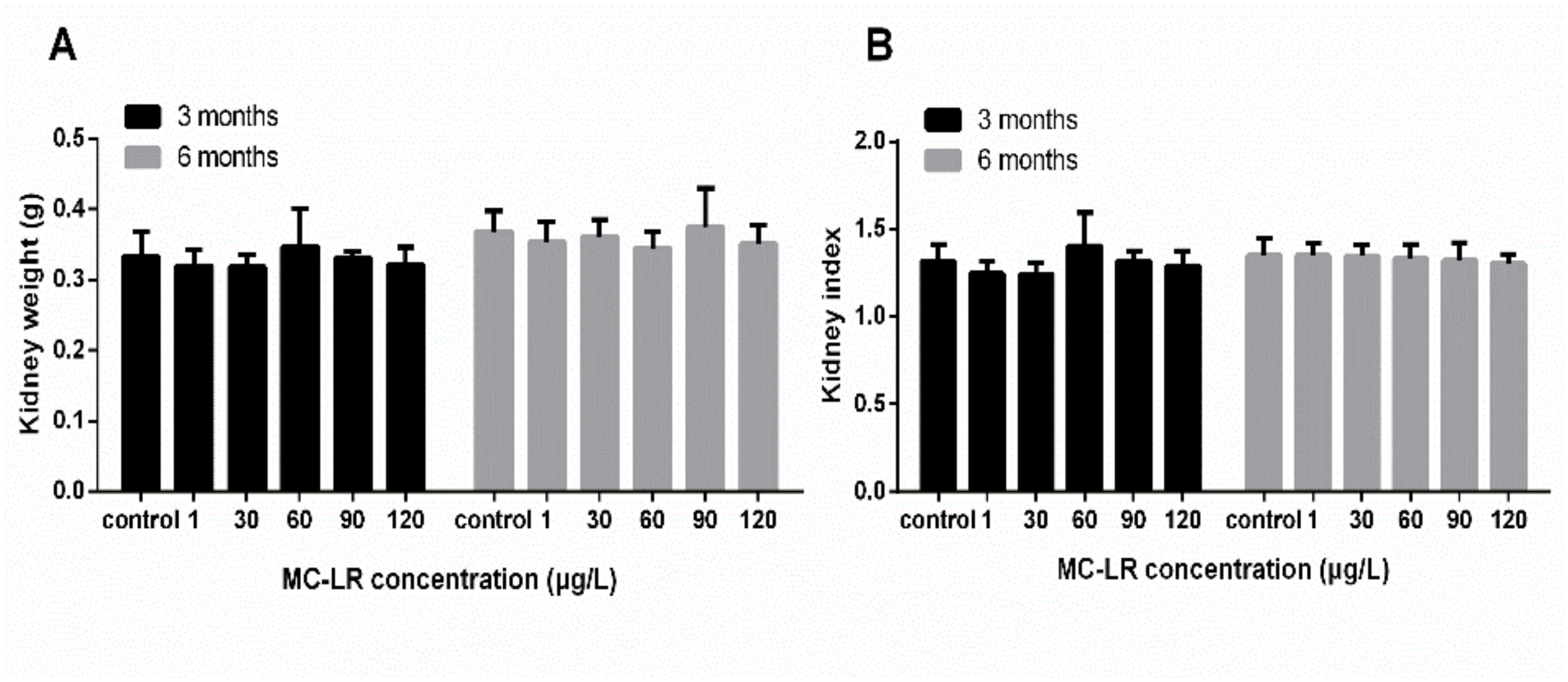 IJERPH | Free Full-Text | Effects of Chronic Exposure to Microcystin-LR on  Kidney in Mice | HTML