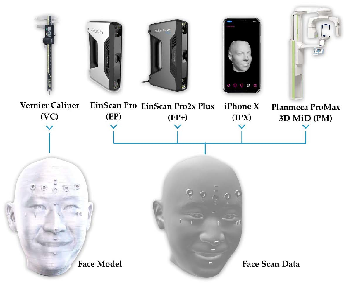 IJERPH | Free Full-Text | The Accuracy of Digital Face Scans Obtained from 3D  Scanners: An In Vitro Study