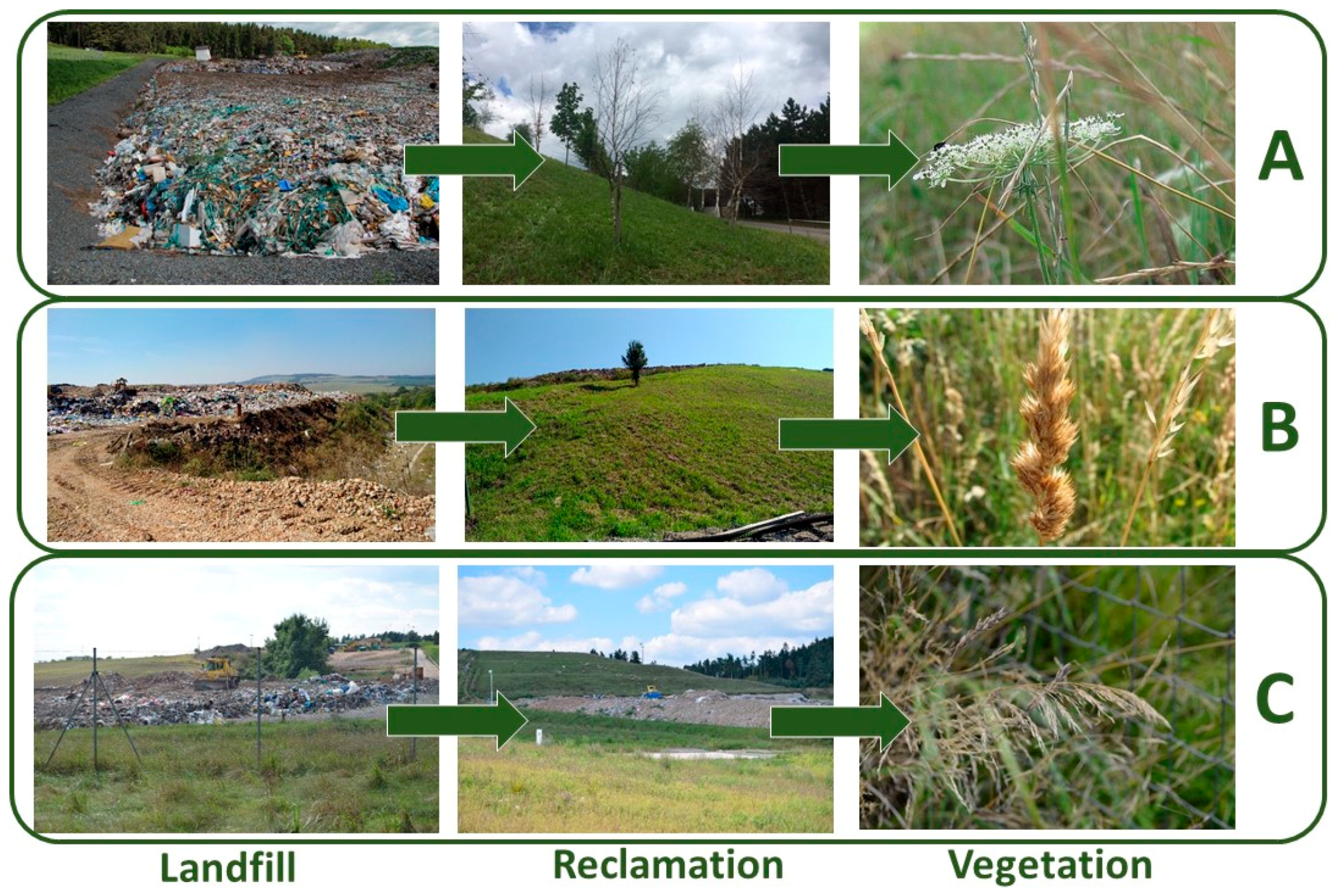 Ijerph 16 05064 g004 Ijerph 16 05064 g004