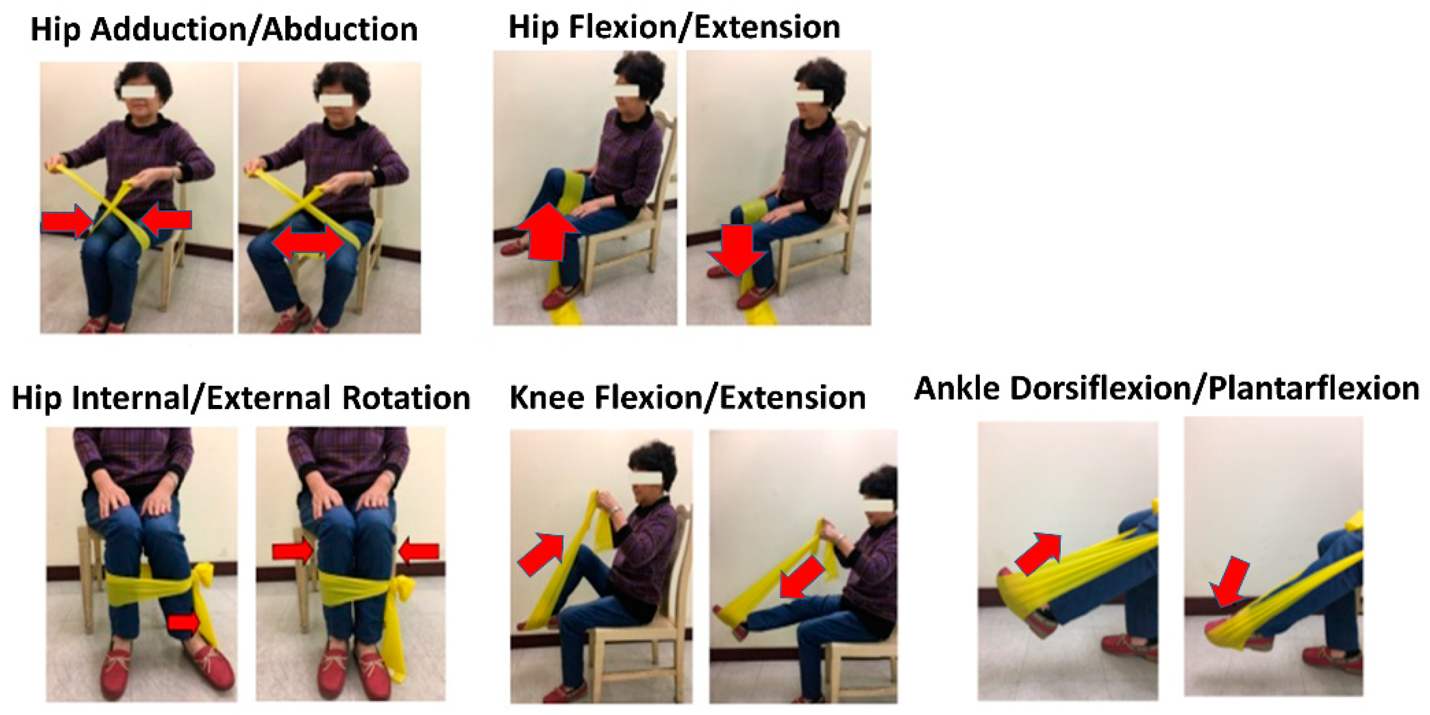 isometric exercises for knee osteoarthritis