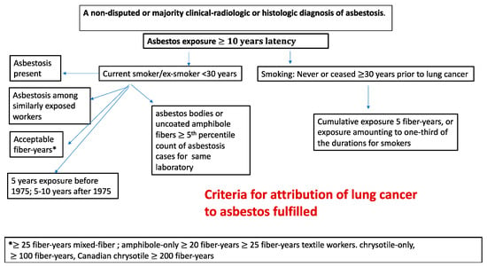 IJERPH | Free Full-Text | Asbestos, Smoking and Lung Cancer: An Update