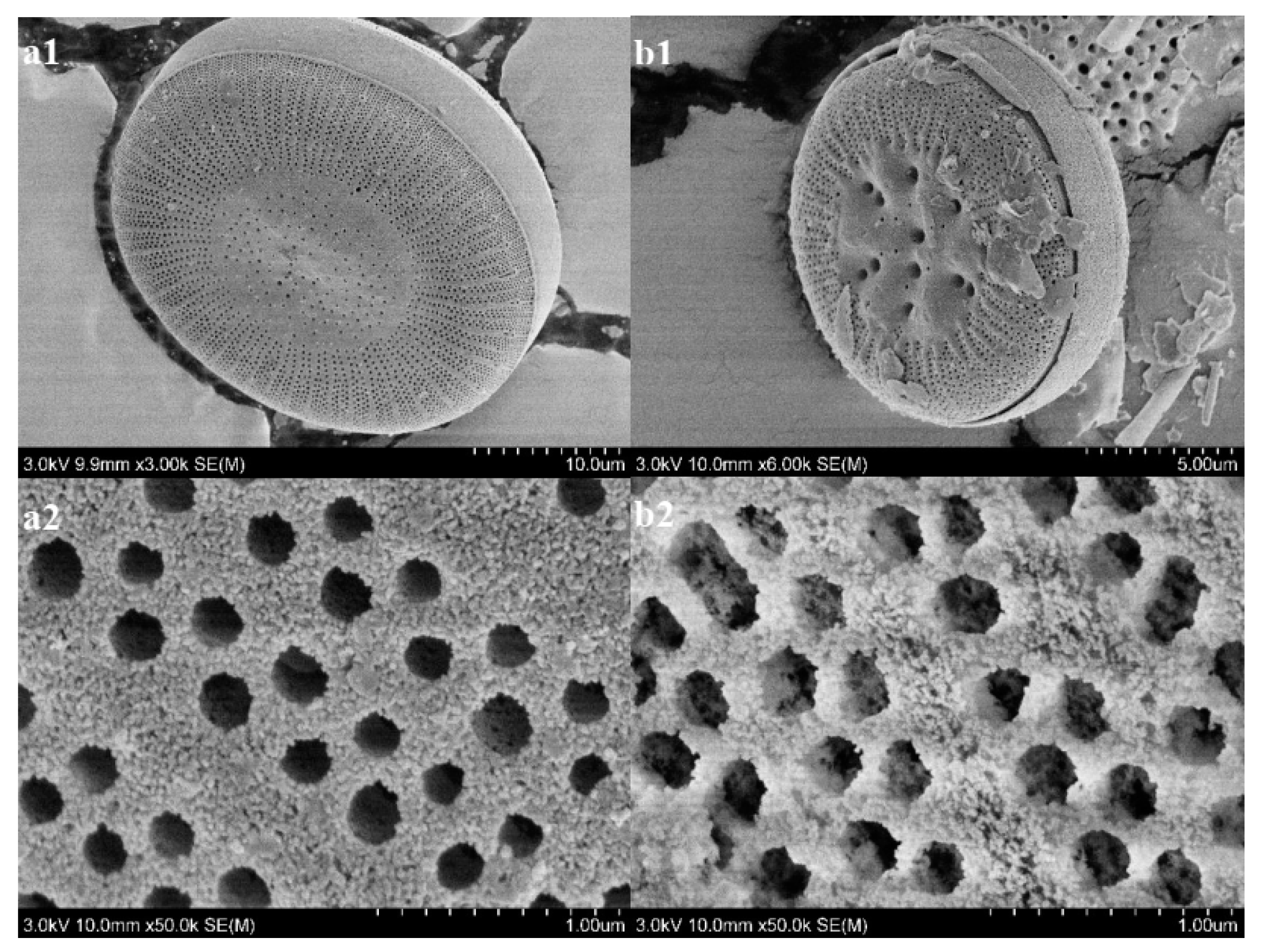 Ijerph 17 00429 g003 Ijerph 17 00429 g003