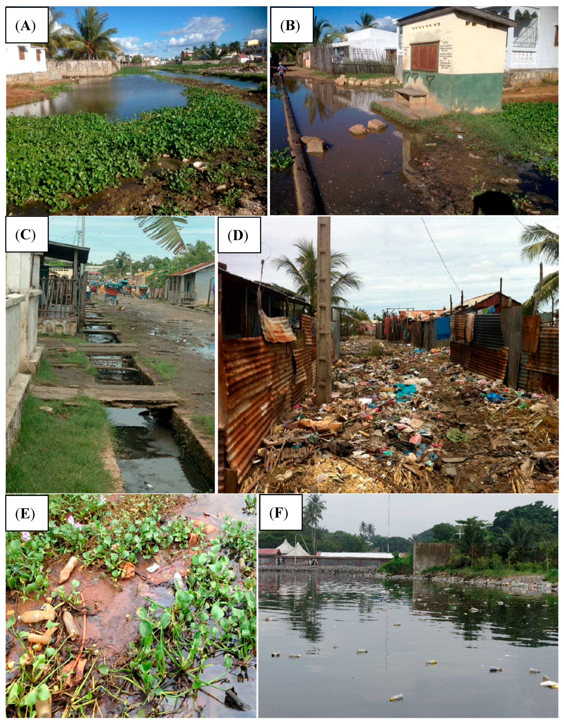IJERPH | Free Full-Text | Urbanization and Waterborne Pathogen Emergence in  Low-Income Countries: Where and How to Conduct Surveys? | HTML