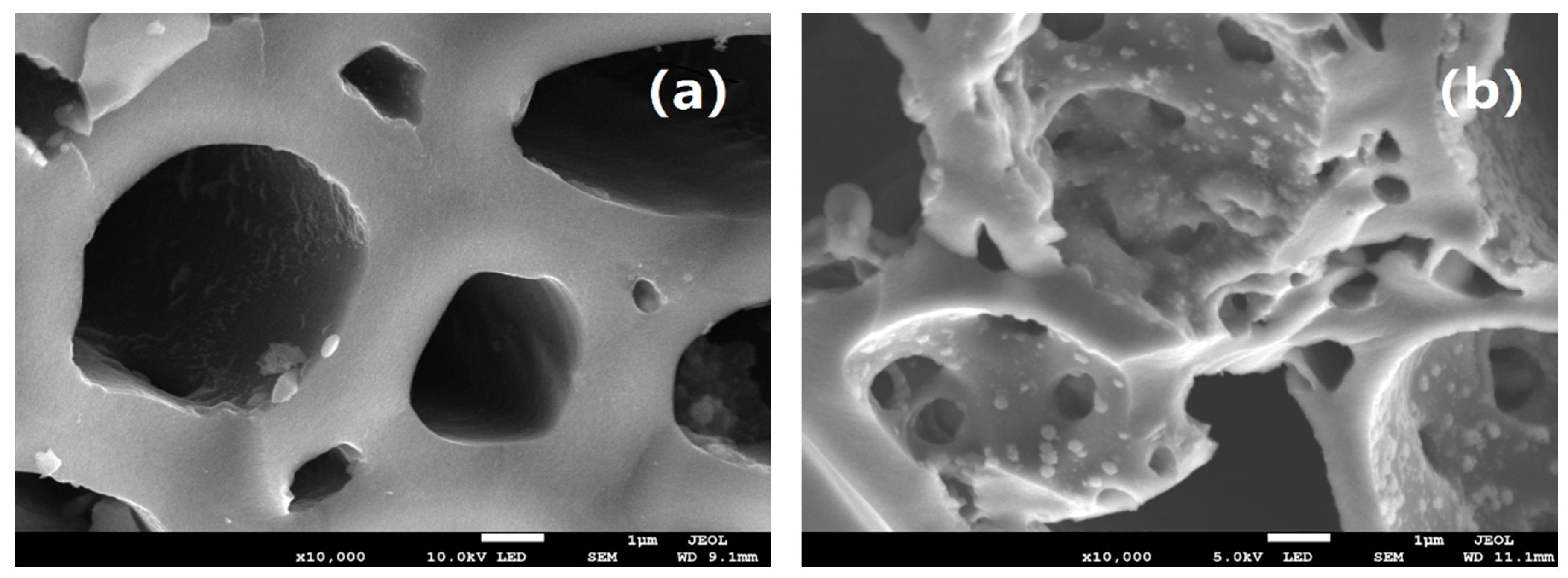 IJERPH | Free Full-Text | Preparation and Characterization of Fe-Mn Binary  Oxide/Mulberry Stem Biochar Composite Adsorbent and Adsorption of Cr(VI)  from Aqueous Solution