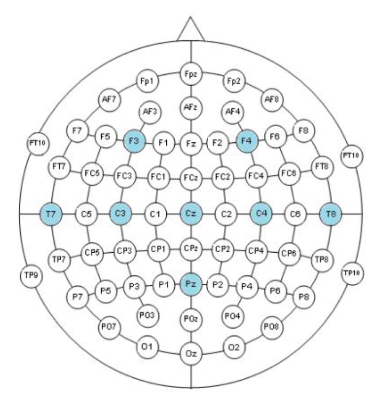 Система 20. EEG 10-20 System. Система 10-20 ЭЭГ. Система наложения электродов 10-20. Система 10-10.