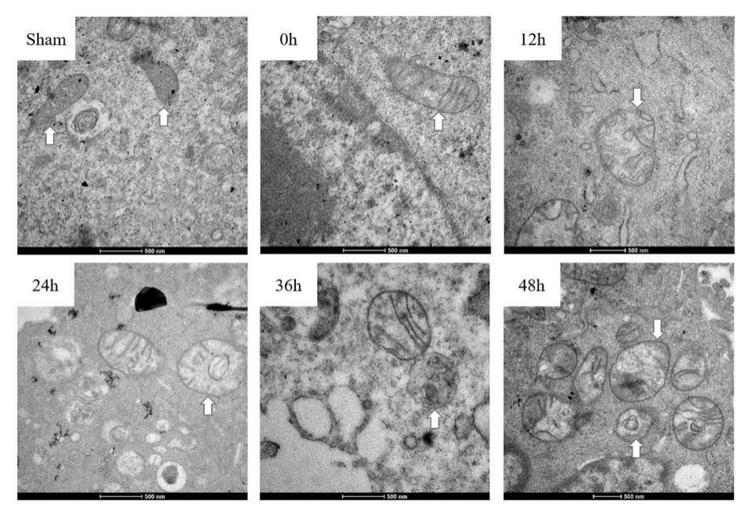 Ijerph 17 00819 g006