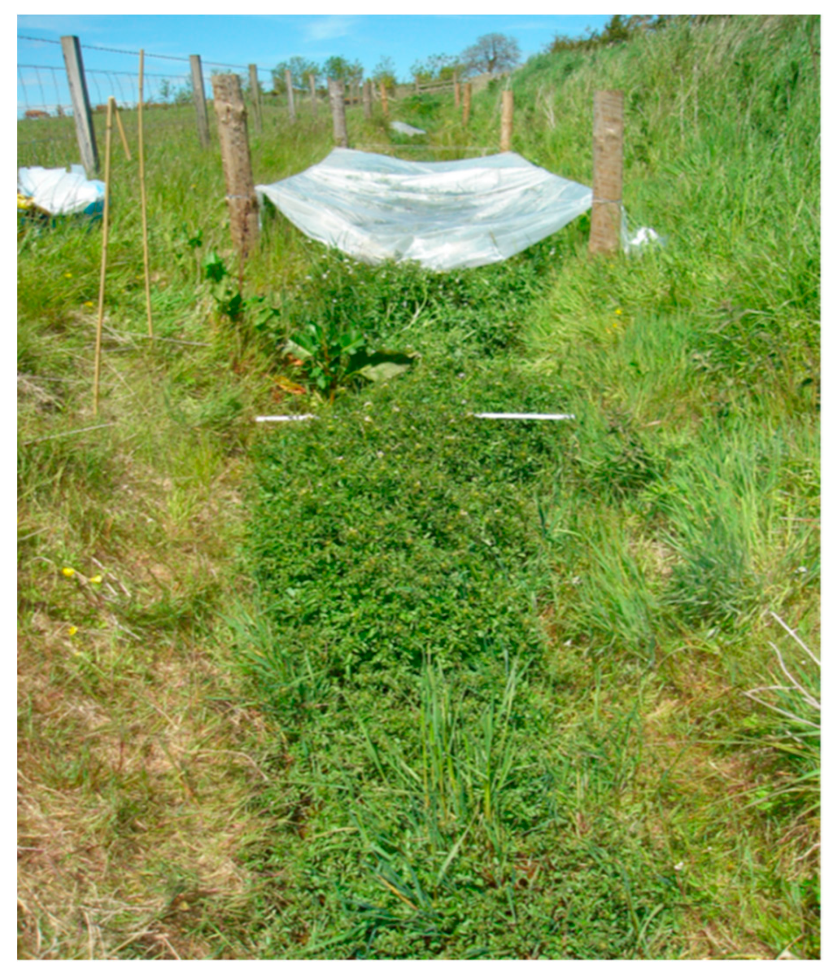 Ijerph 17 00895 g002 Ijerph 17 00895 g002