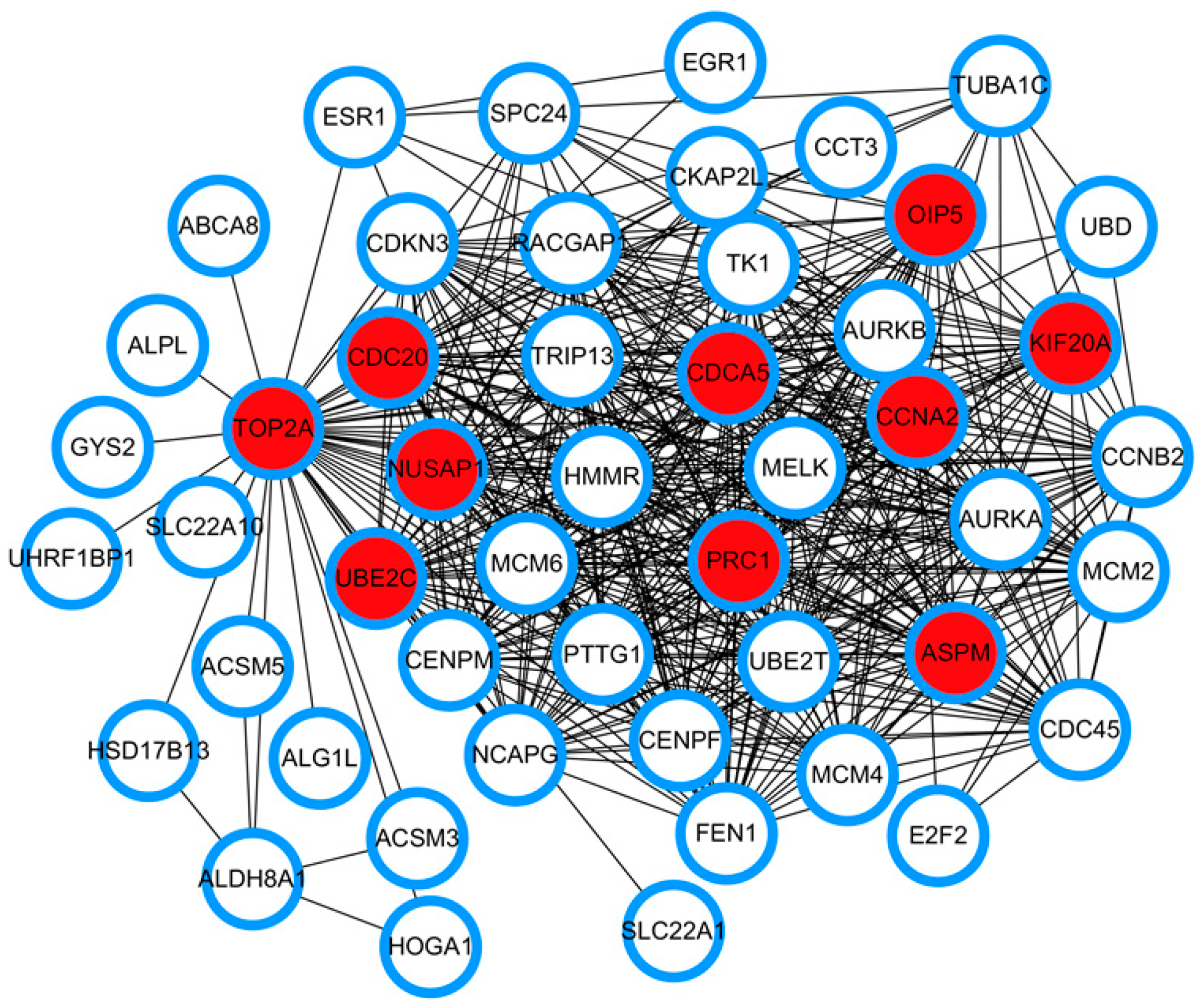 Ijerph 17 01053 g003